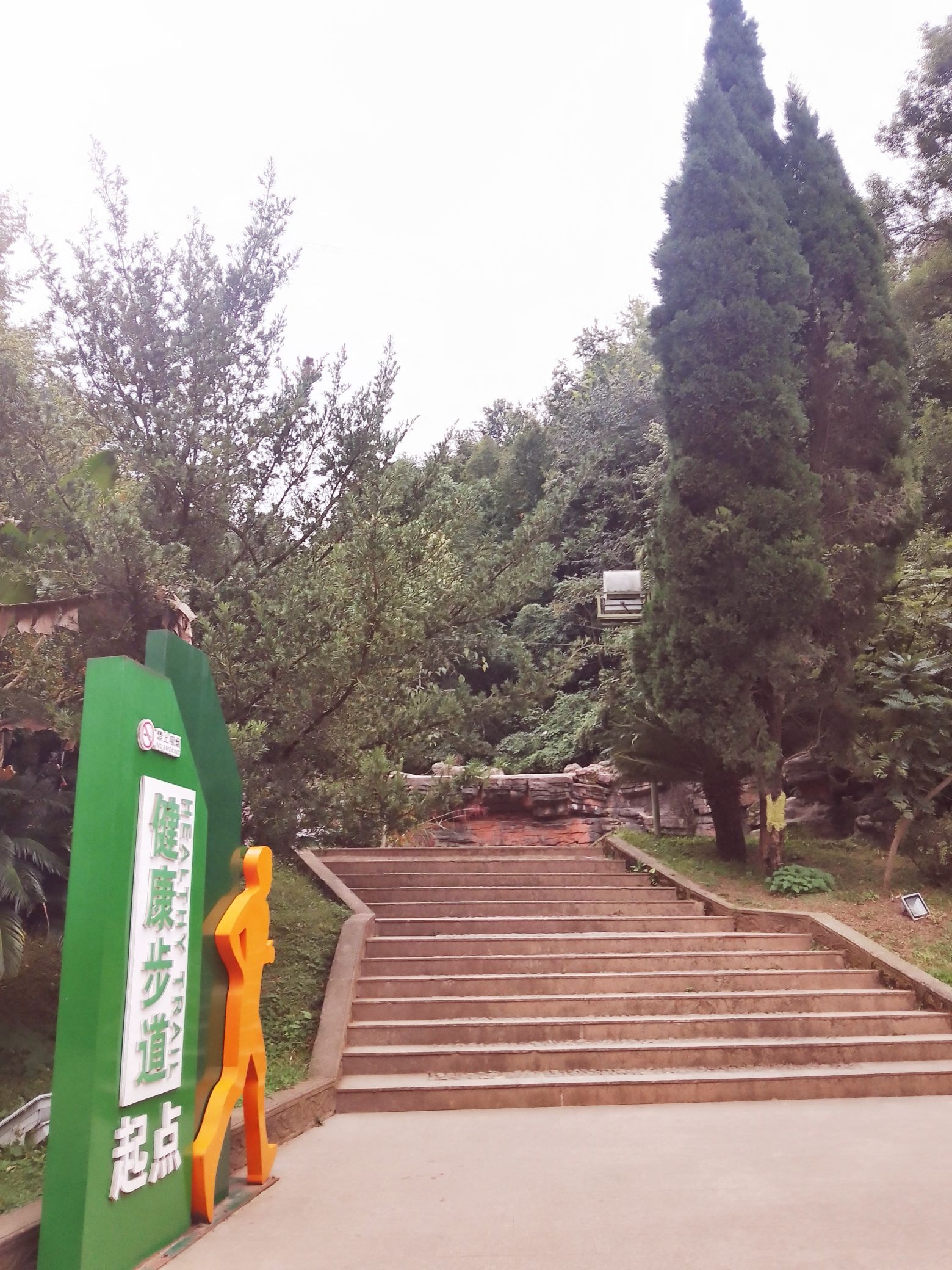 南岭公园旅行图片 2