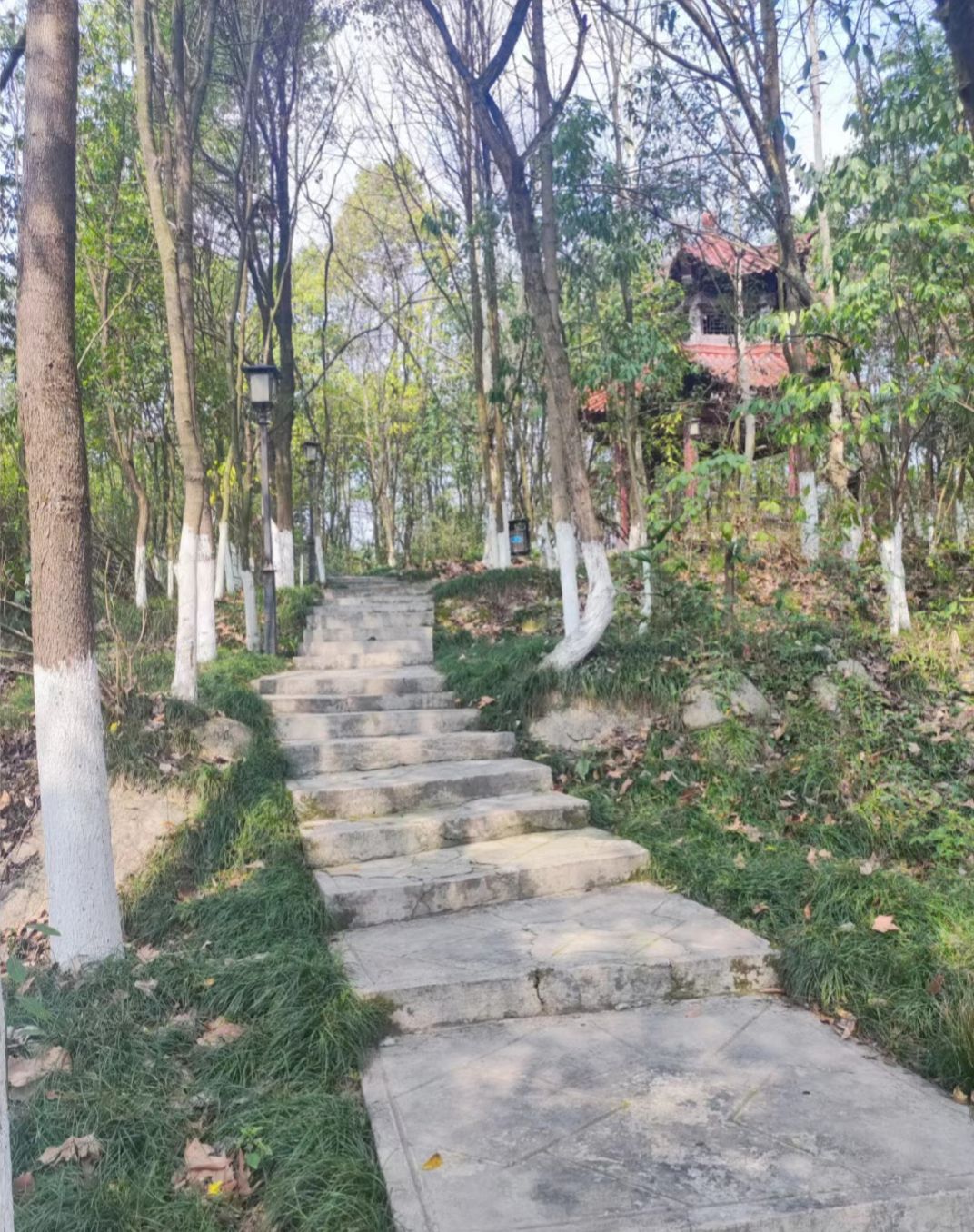 三阁公园旅行图片 2