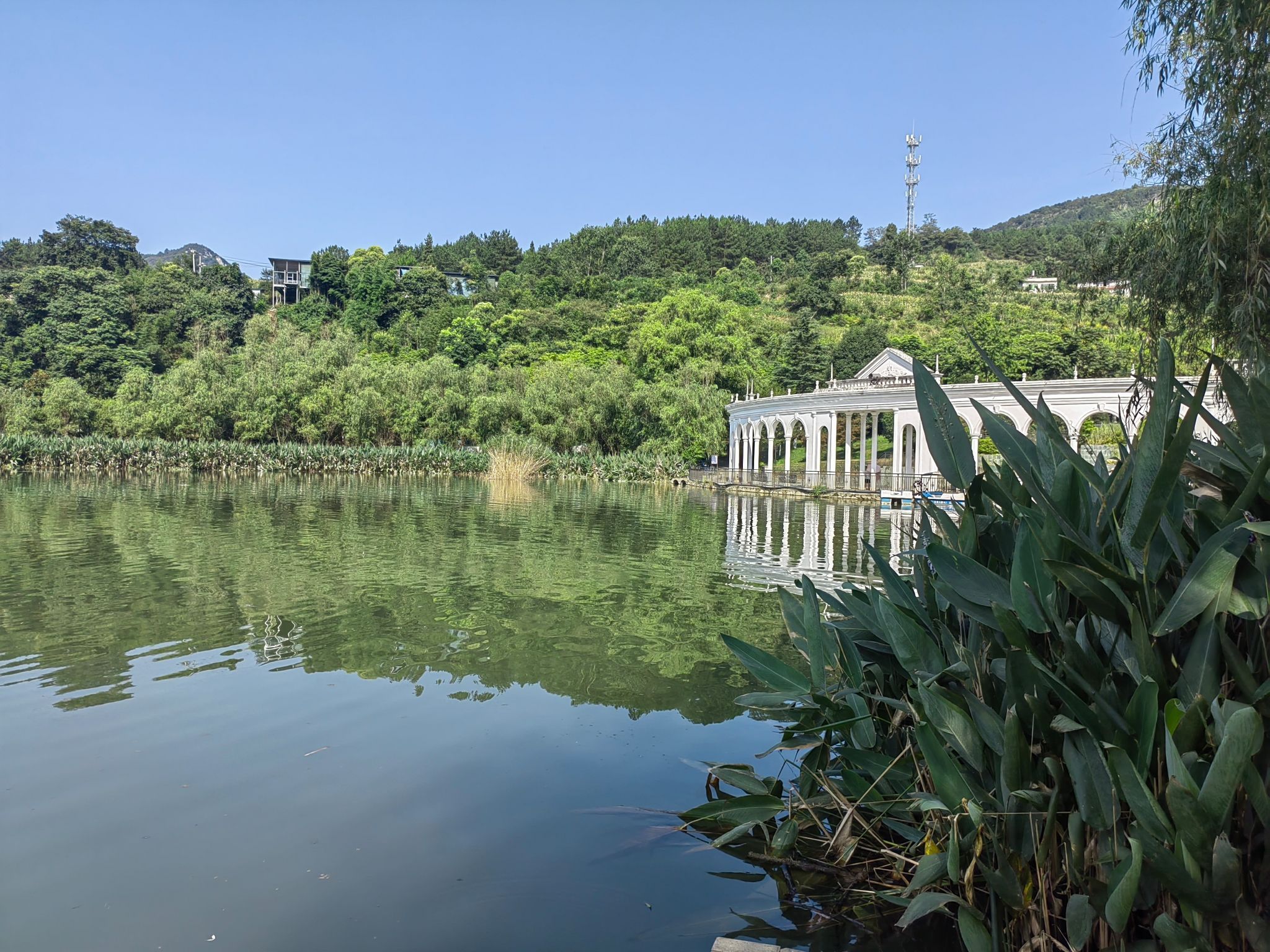 小西湖风景区旅行图片 3