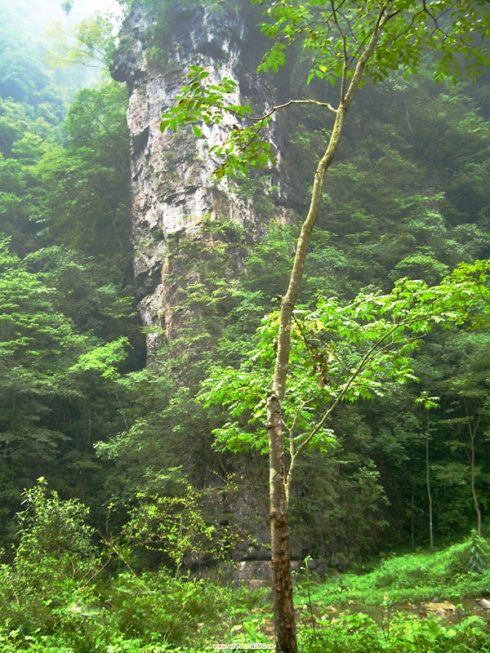 观音岩旅行图片 3
