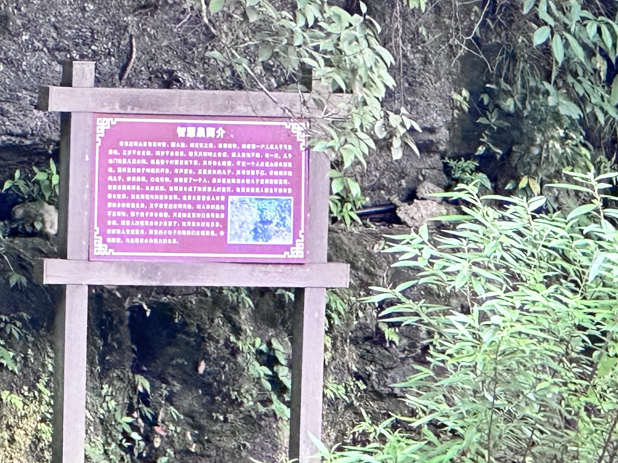 观音岩旅行图片 1