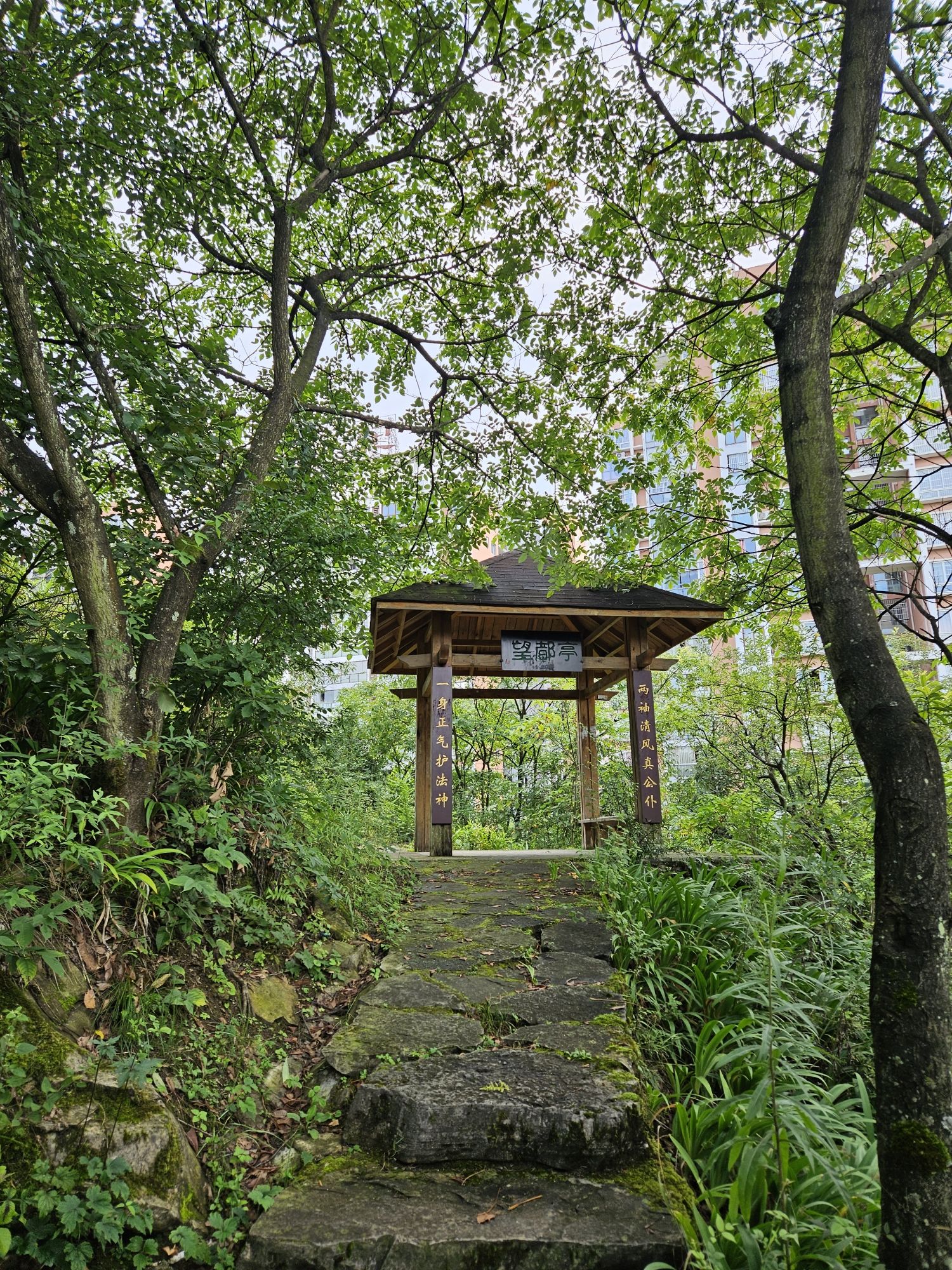 虹顶公园旅行图片 3