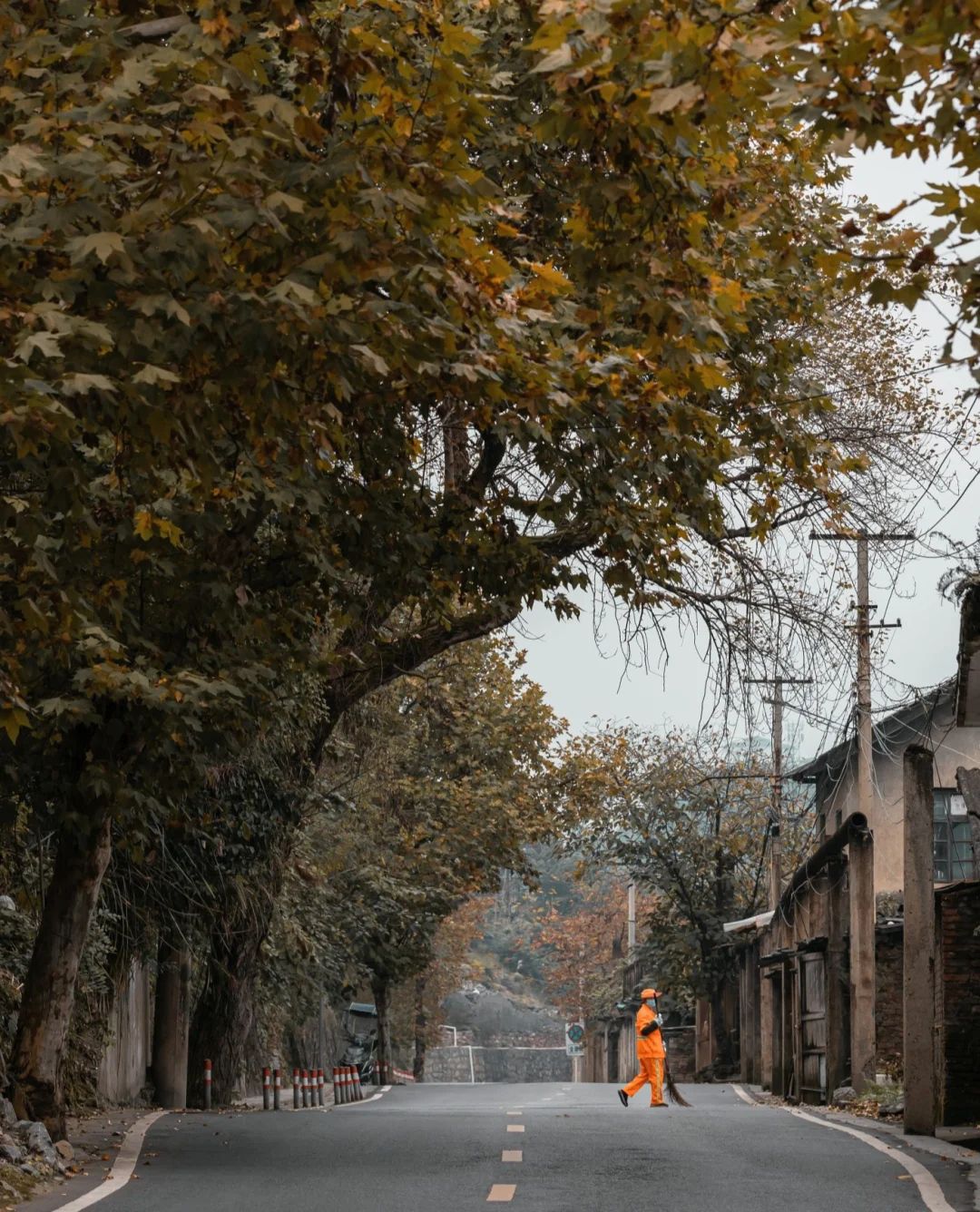 象山森林公园旅行图片 3