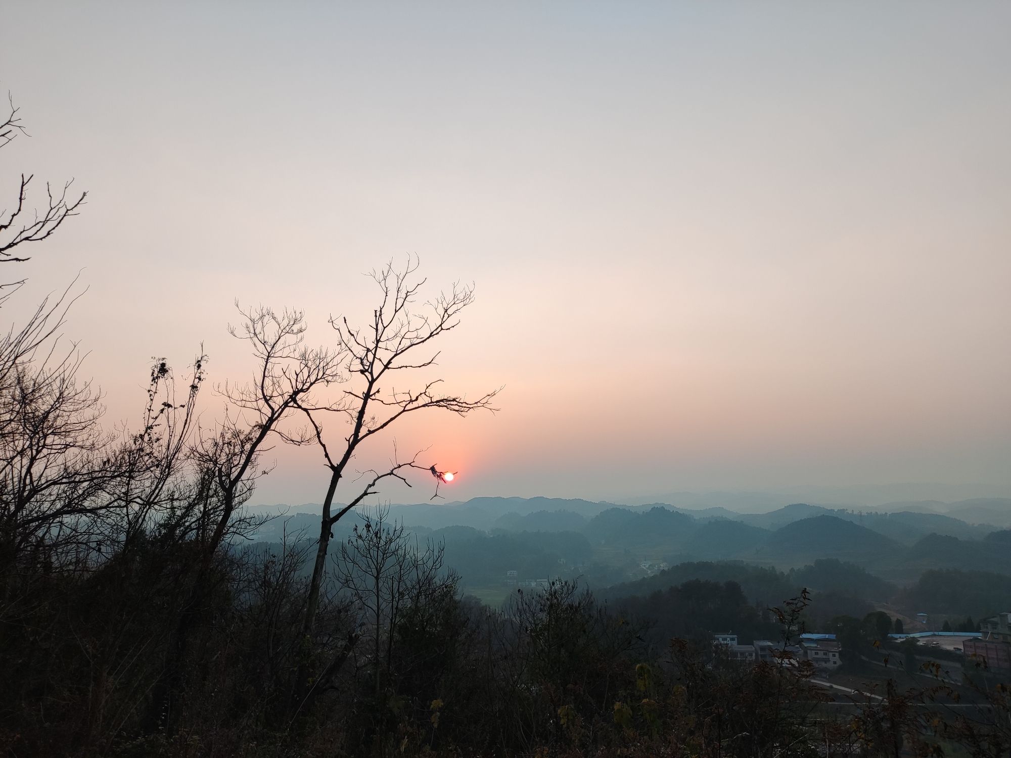 象山森林公园旅行图片 2