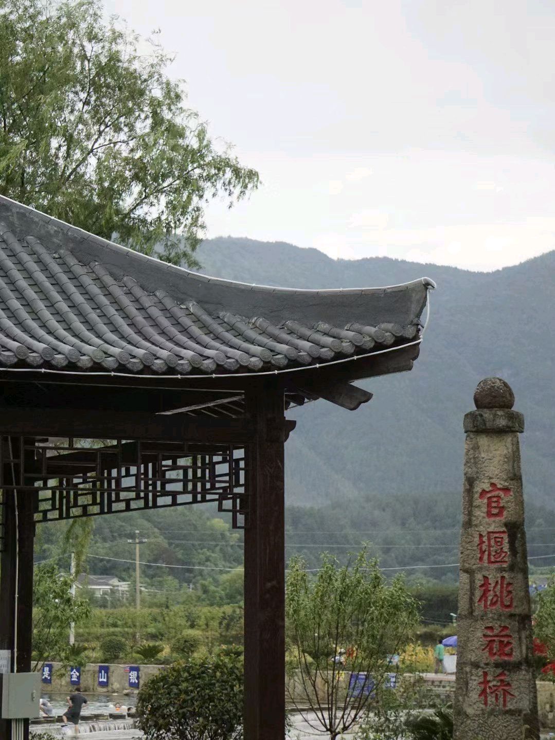 桃花江景区旅行图片 1
