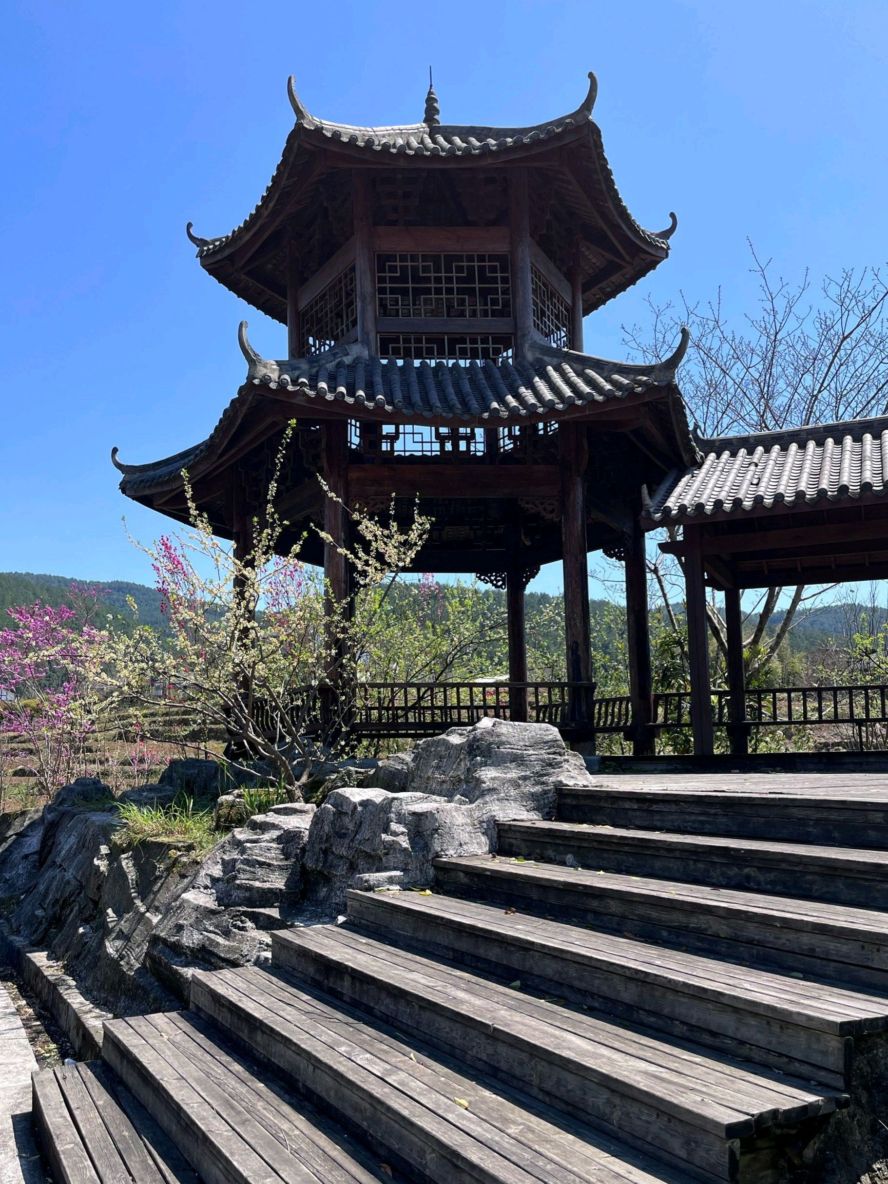 桃花江景区旅行图片 2