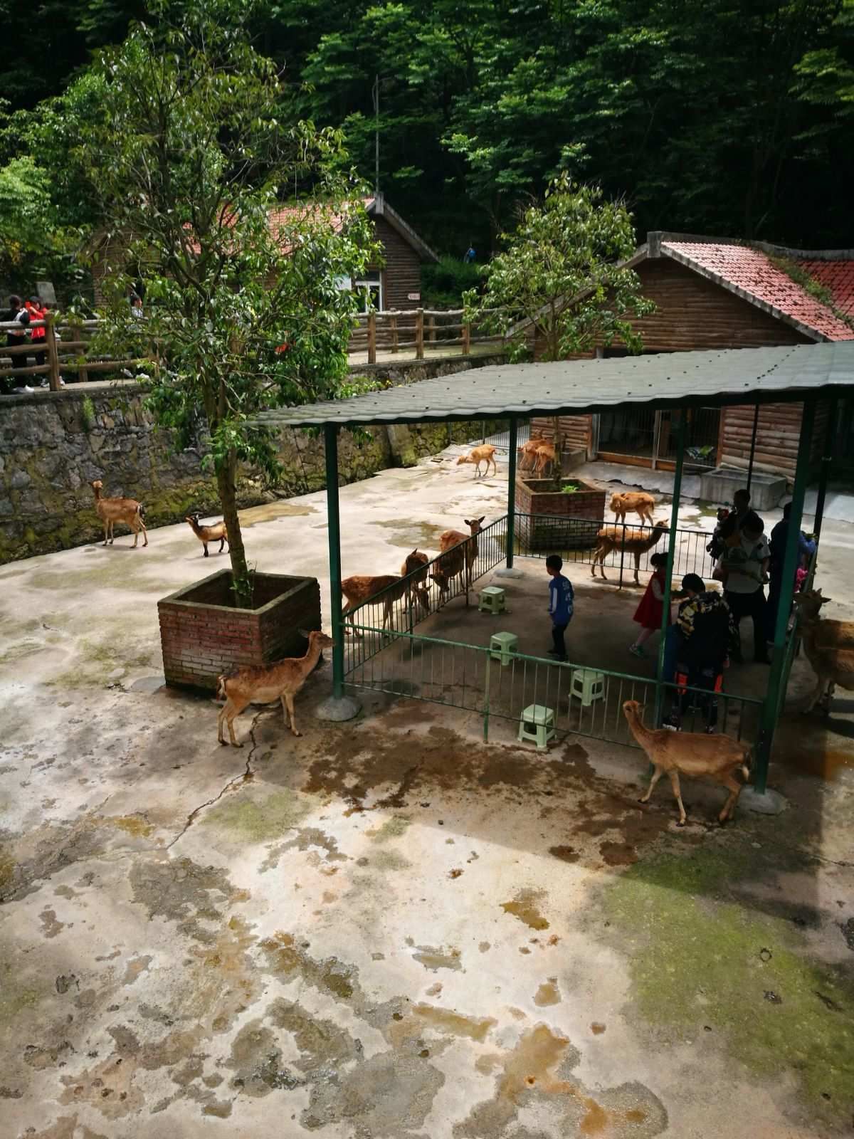 遵义动物园旅行图片 3