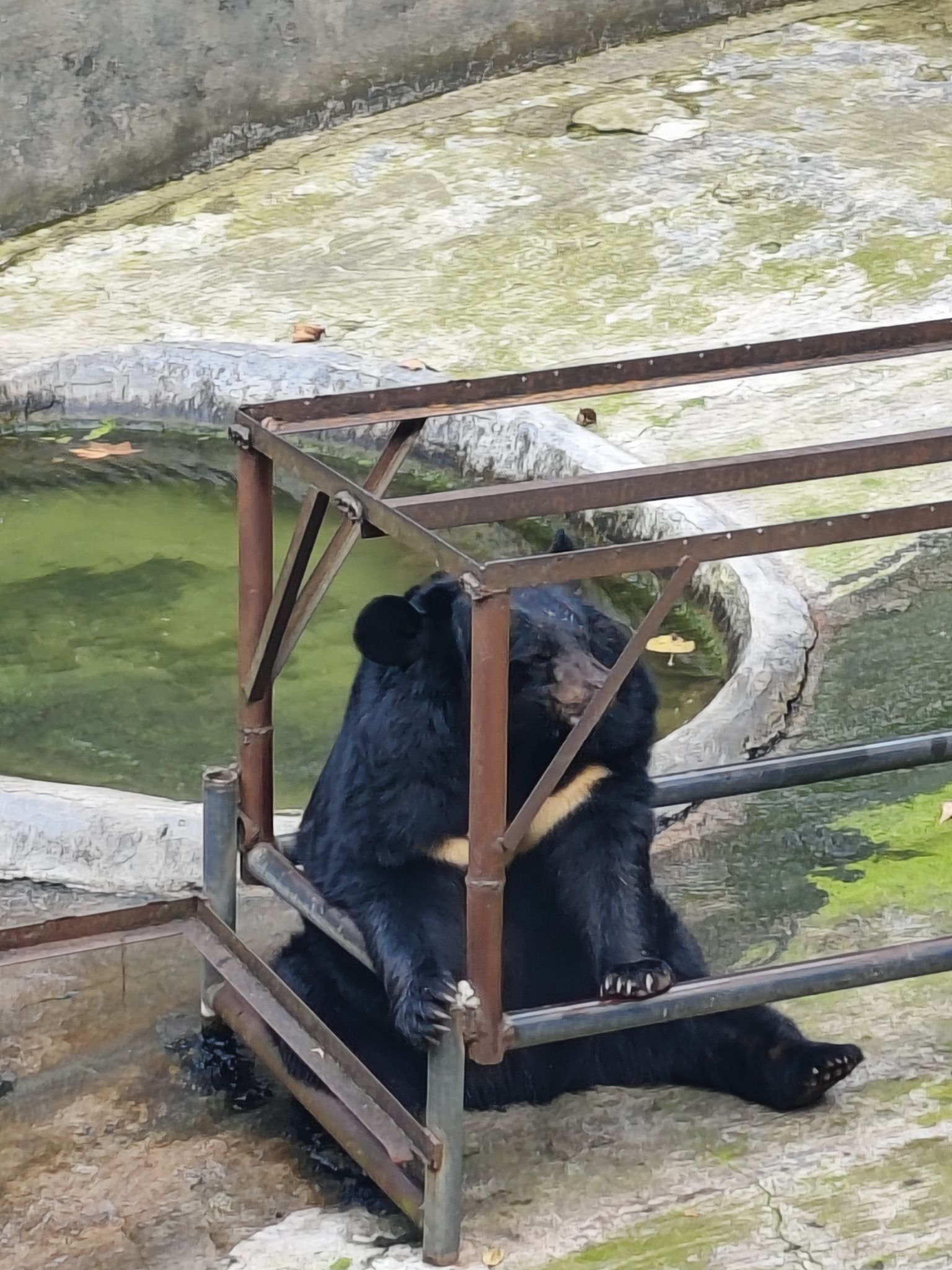 遵义动物园旅行图片 2
