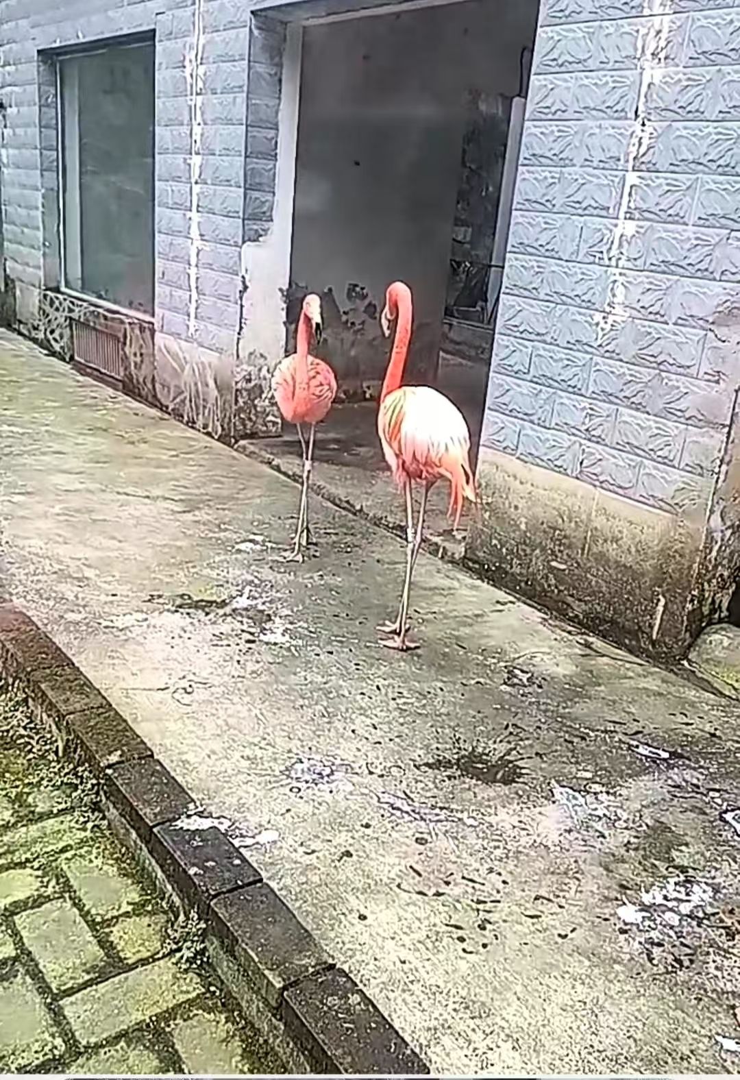 遵义动物园旅行图片 1