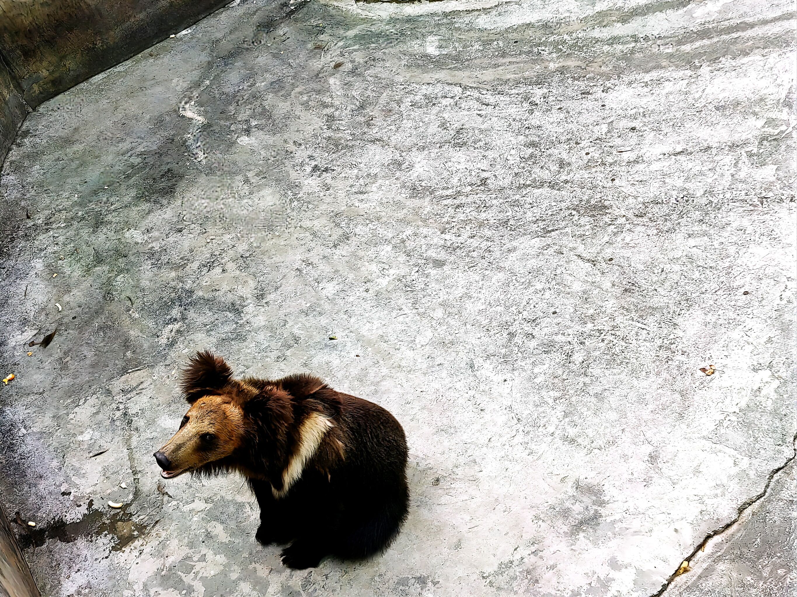 遵义动物园旅行图片 1