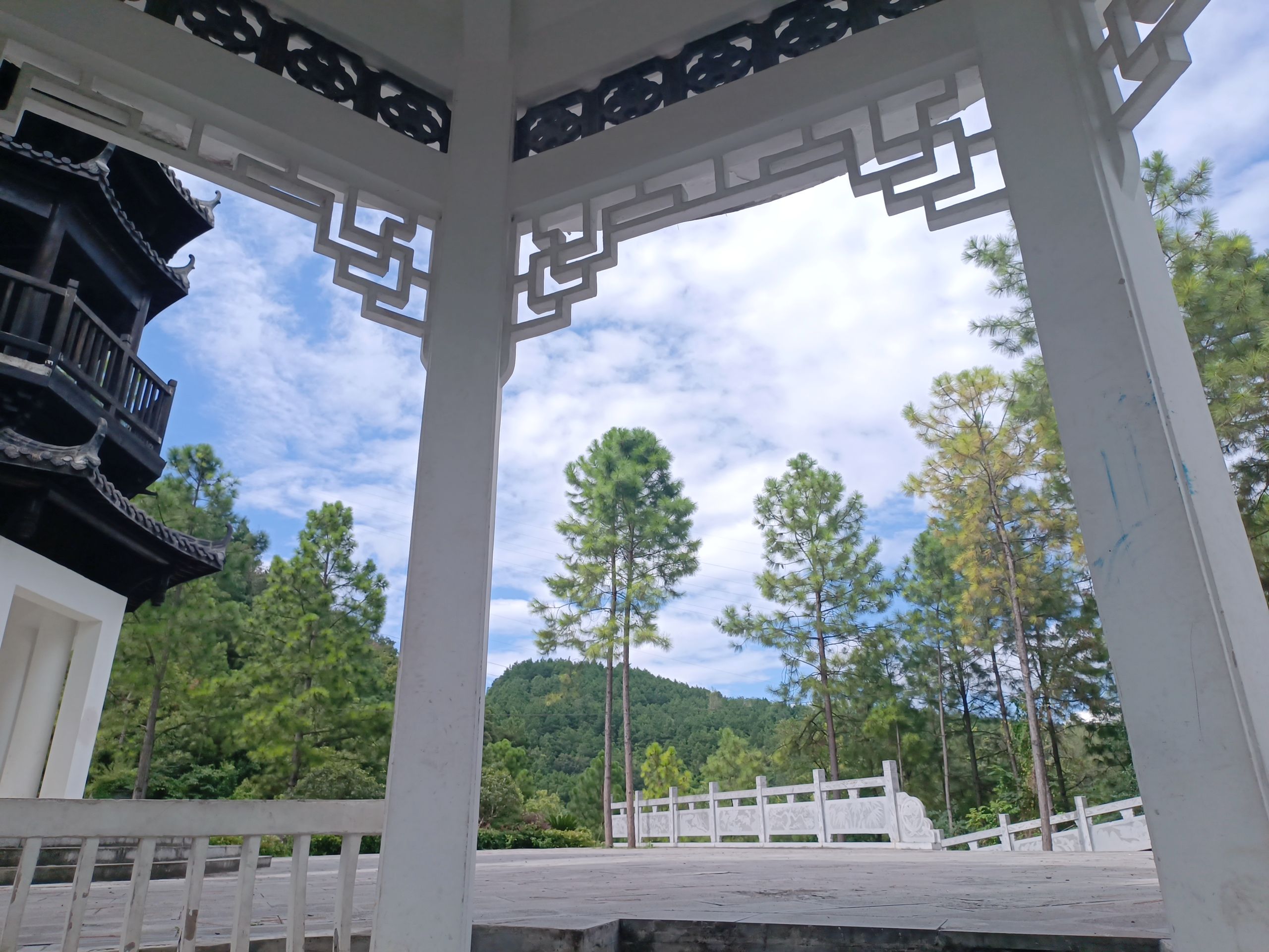遵义市植物园旅行图片 2