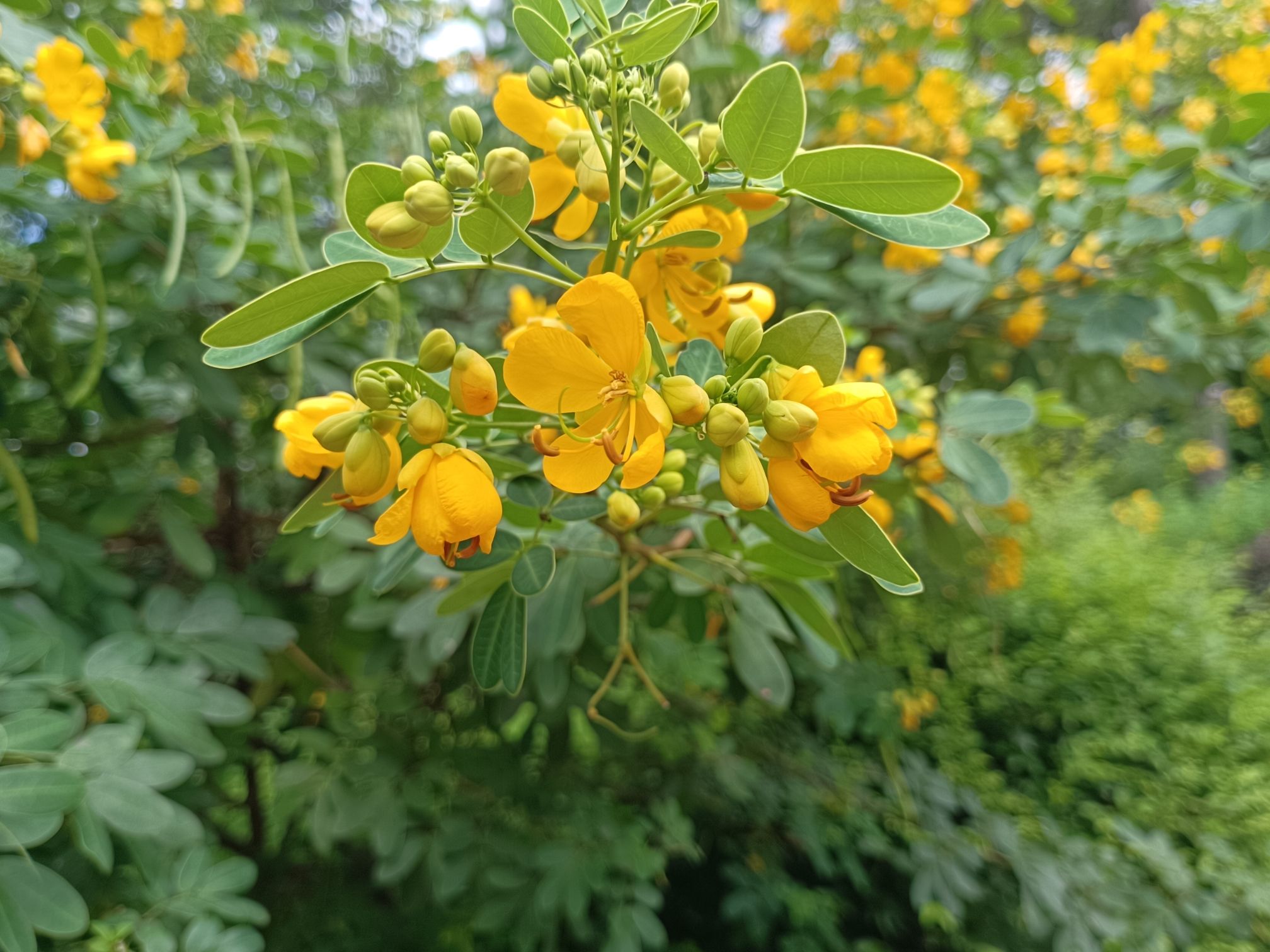 遵义市植物园旅行图片 3