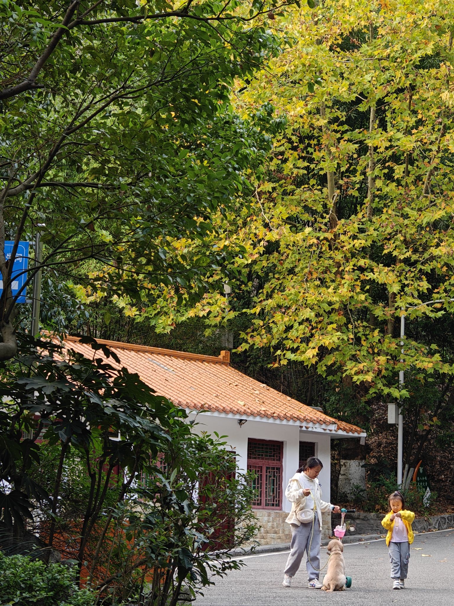 遵义市植物园旅行图片 2