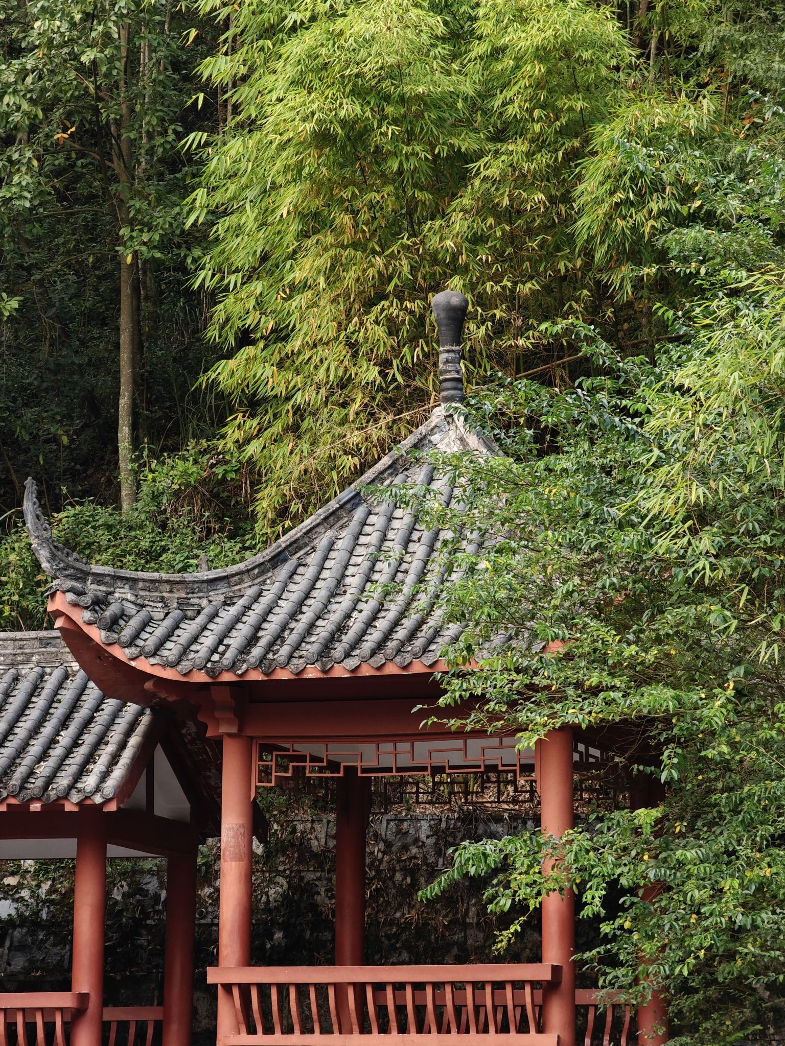 遵义市植物园旅行图片 3
