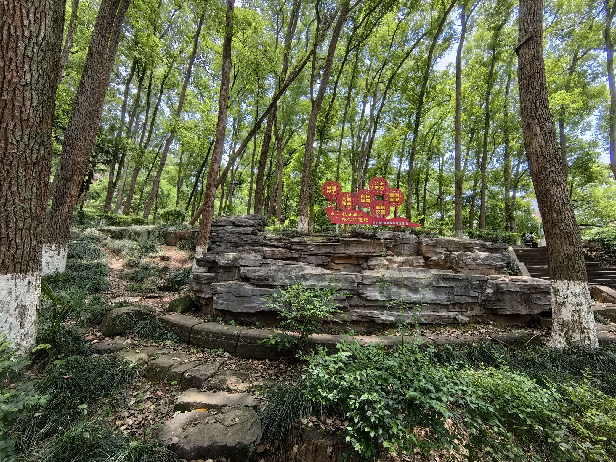 香樟林公园旅行图片 1