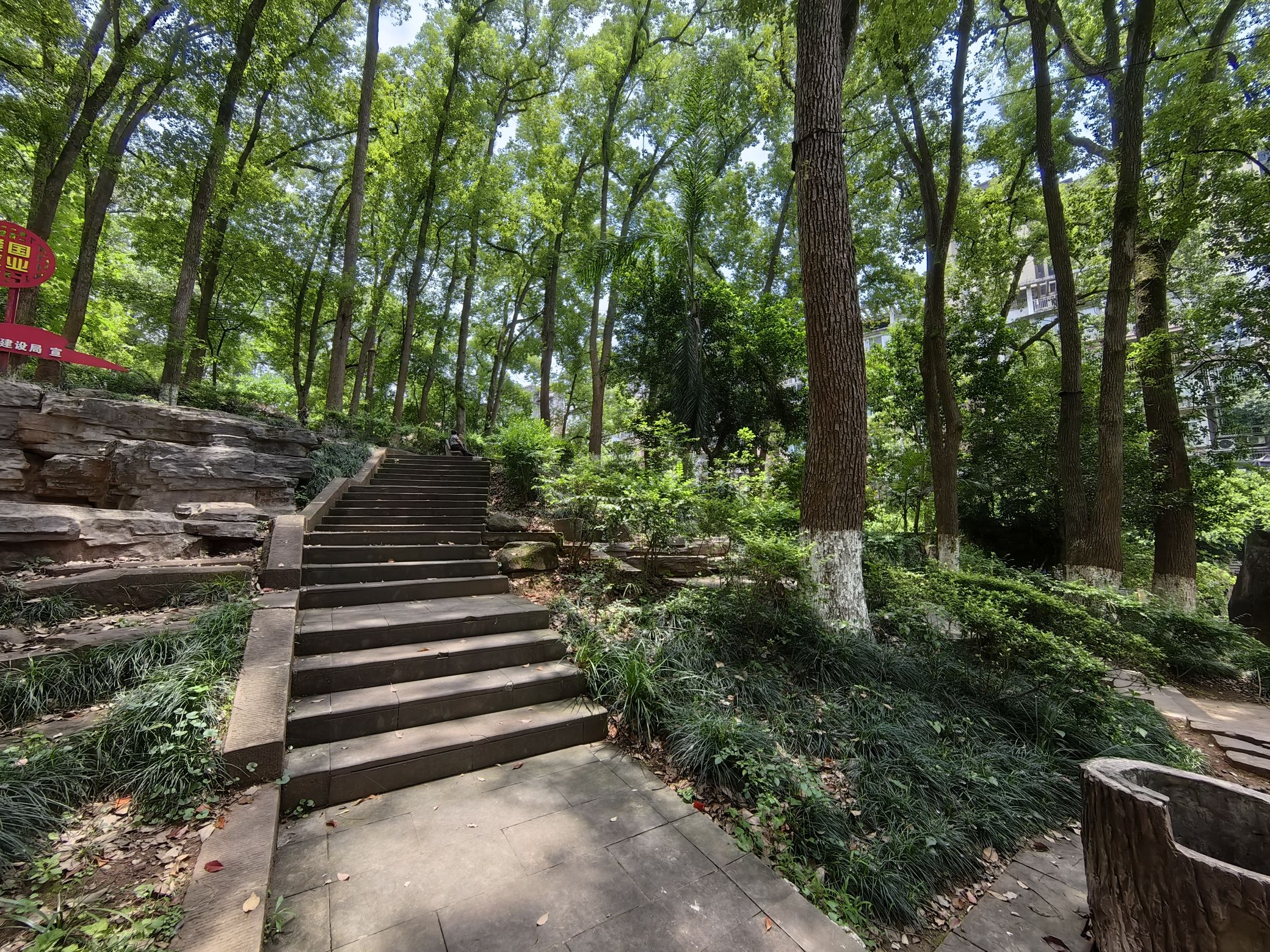 香樟林公园旅行图片 3