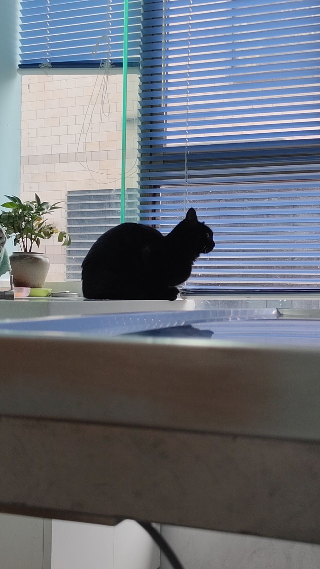 五星广场旅行图片 1
