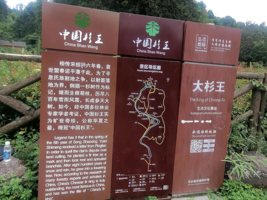 中国杉王景区旅行图片 1