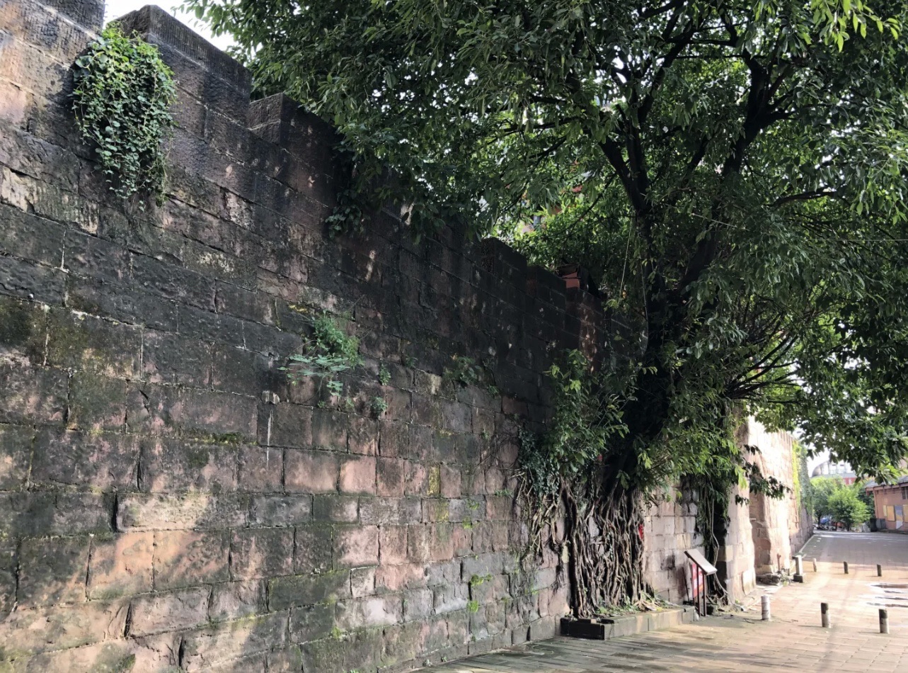 赤水古城垣旅行图片 1