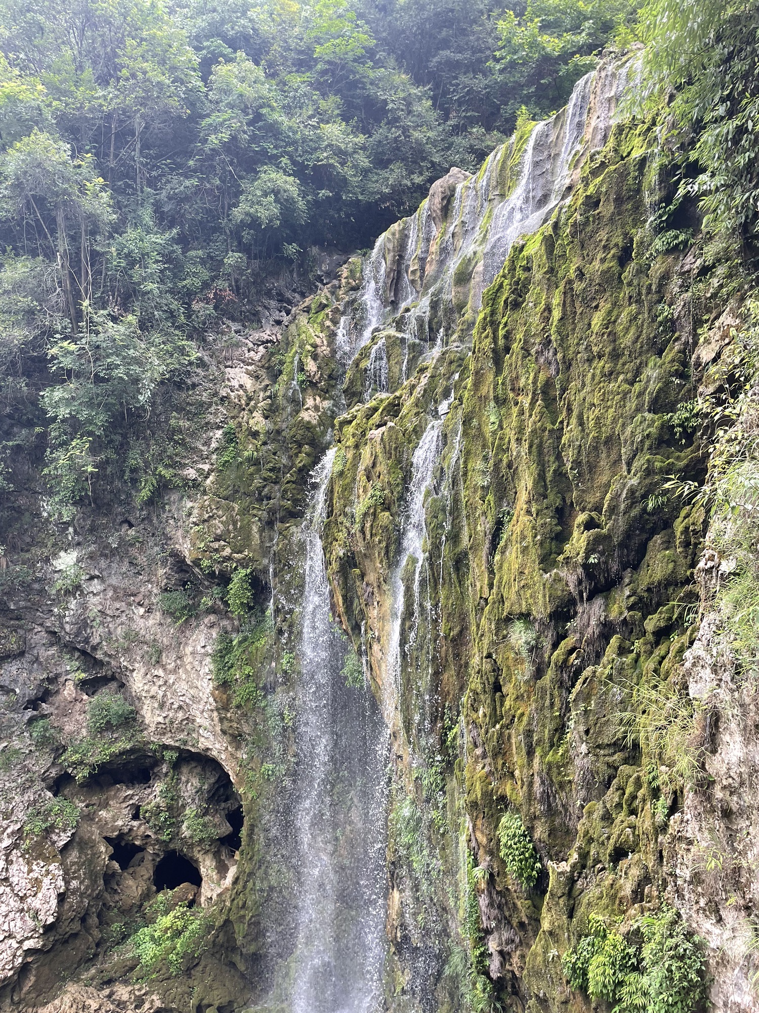 红果树生态旅游风景区旅行图片 1