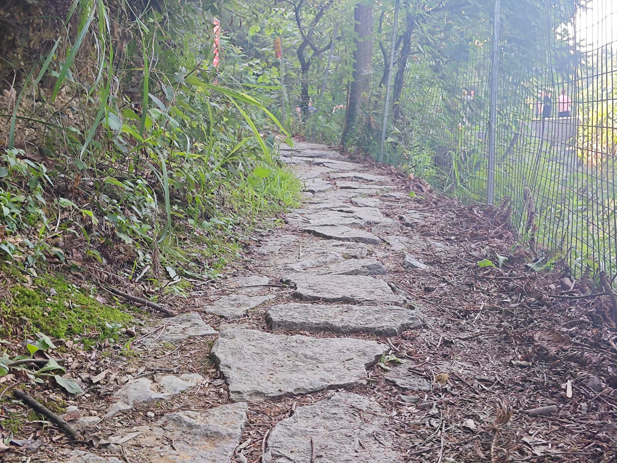 凉风垭森林公园旅行图片 2