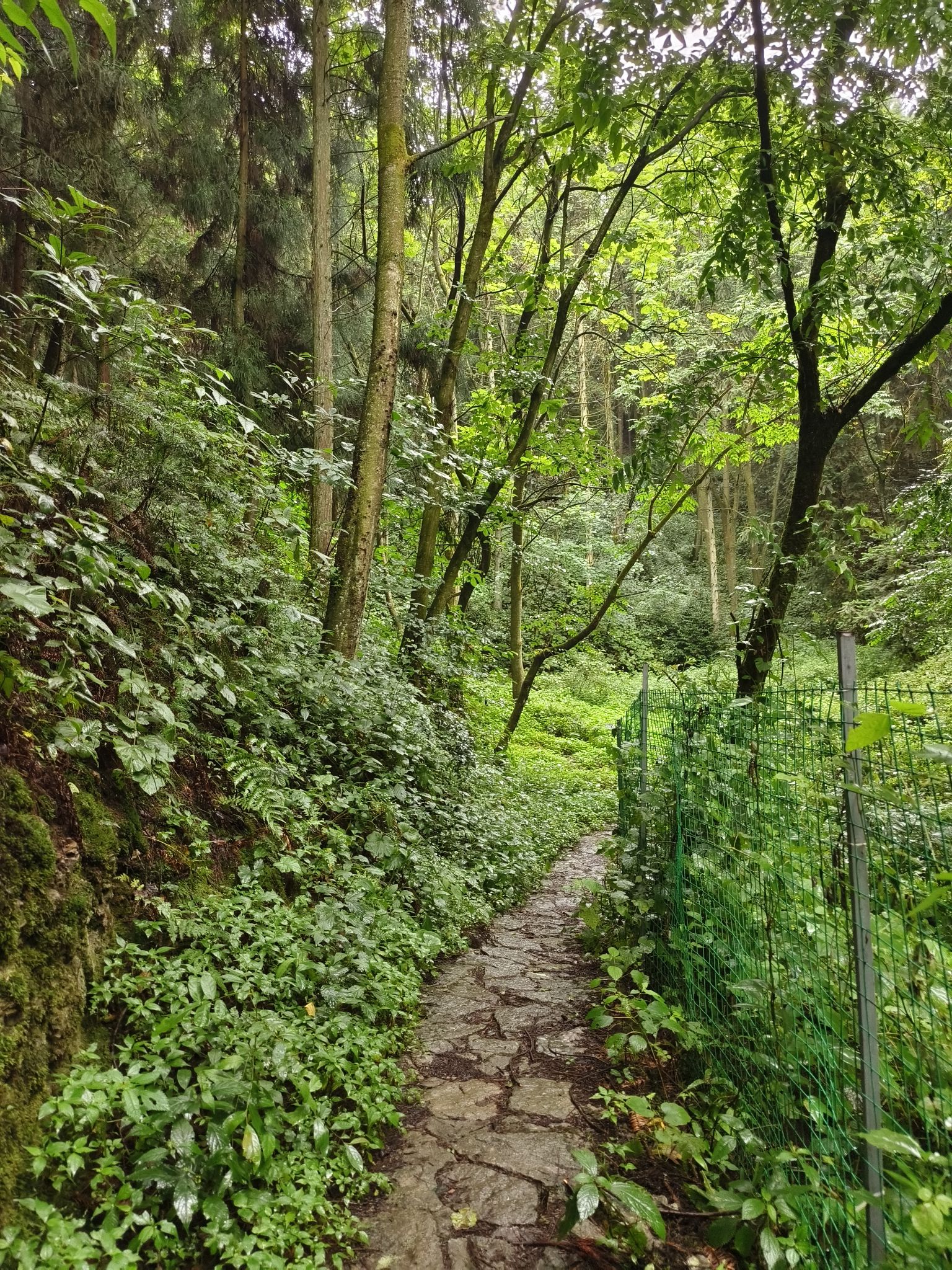 凉风垭森林公园旅行图片 3
