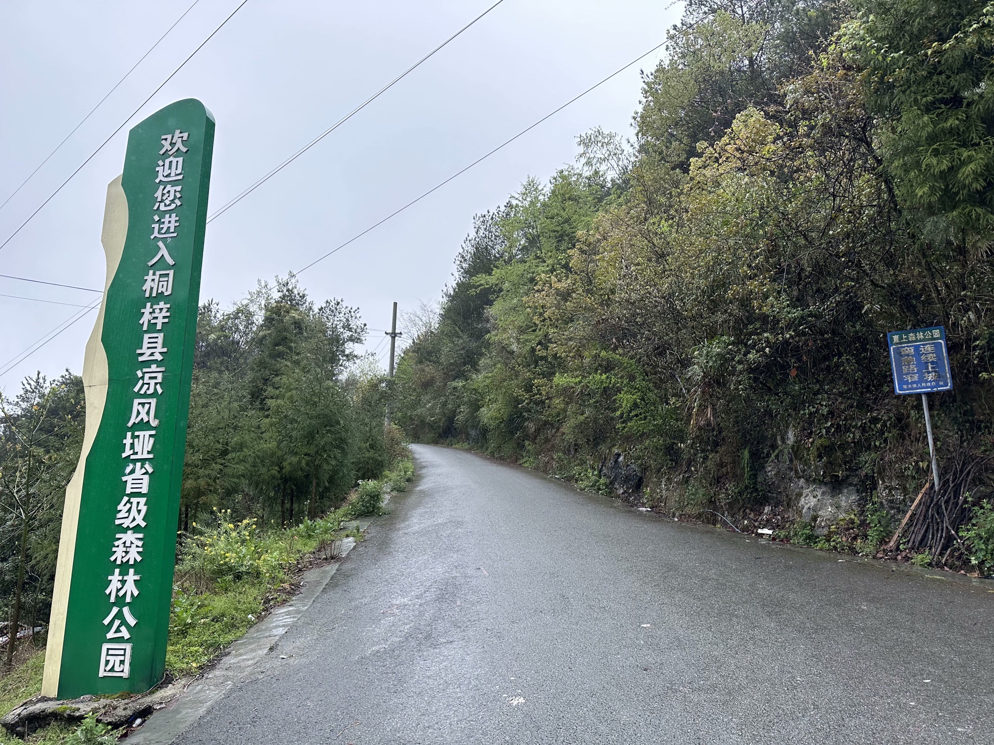 凉风垭森林公园旅行图片 1