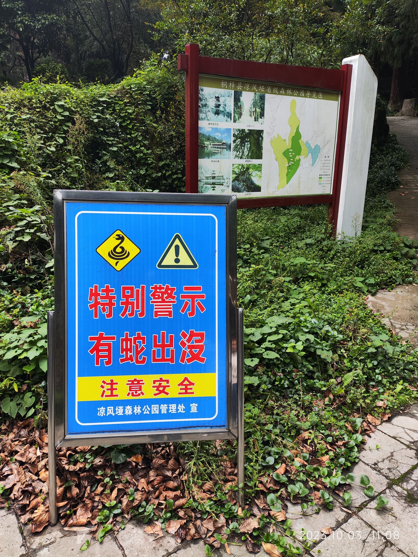 凉风垭森林公园旅行图片 1