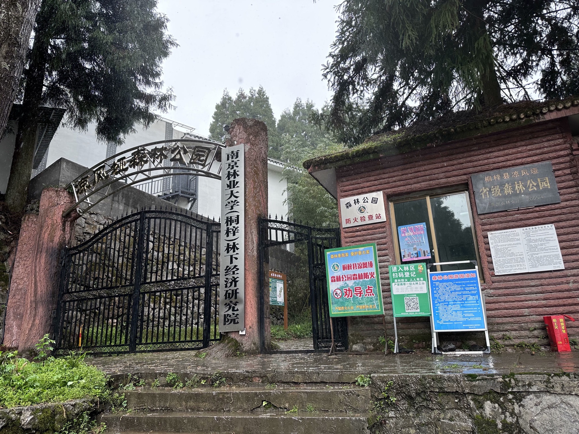 凉风垭森林公园旅行图片 2