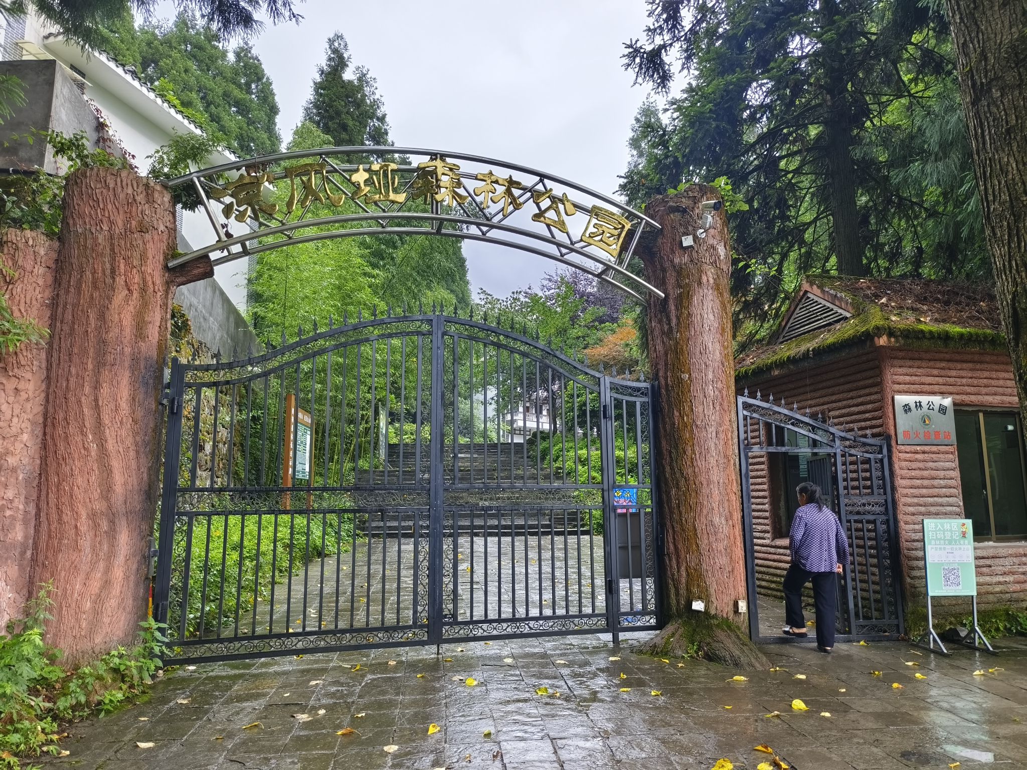 凉风垭森林公园旅行图片 2