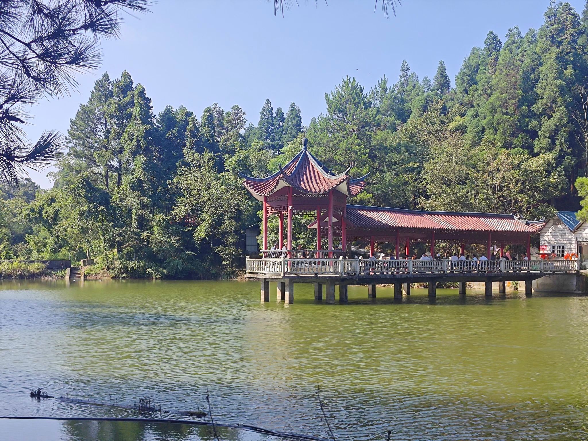 凉风垭森林公园旅行图片 3