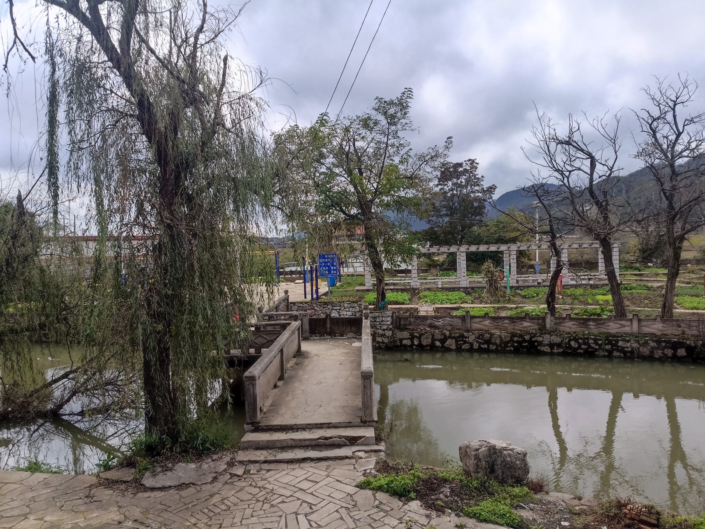 河心公园旅行图片 3