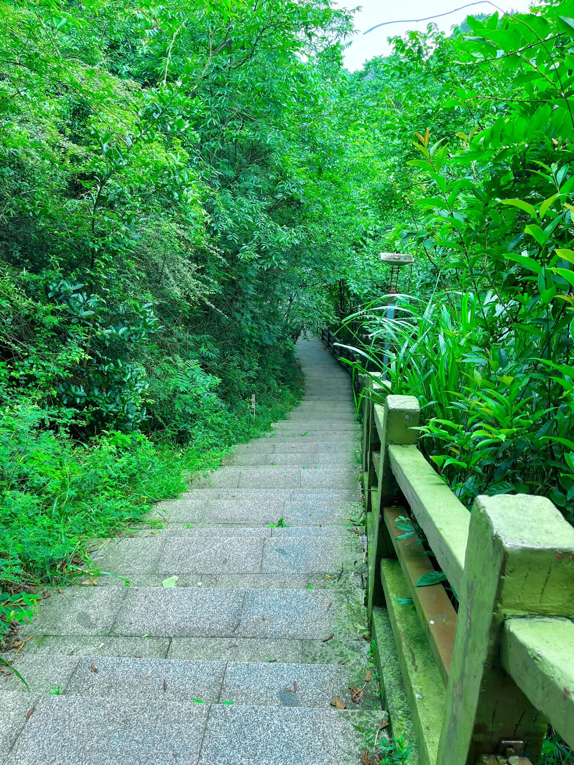 虹山湖公园旅行图片 3
