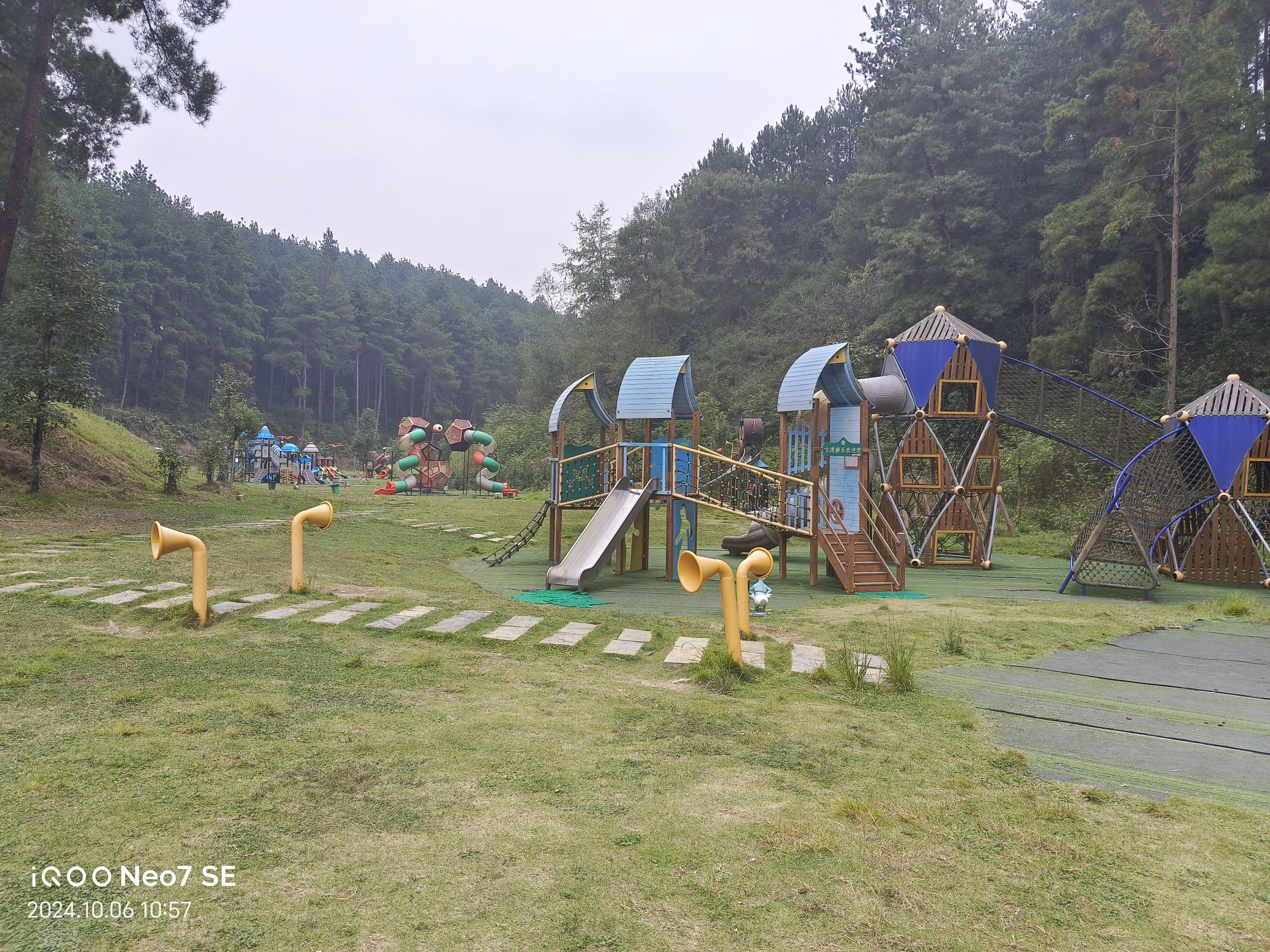 九龙山森林康养旅游度假区-九龙山森林公园旅行图片 1