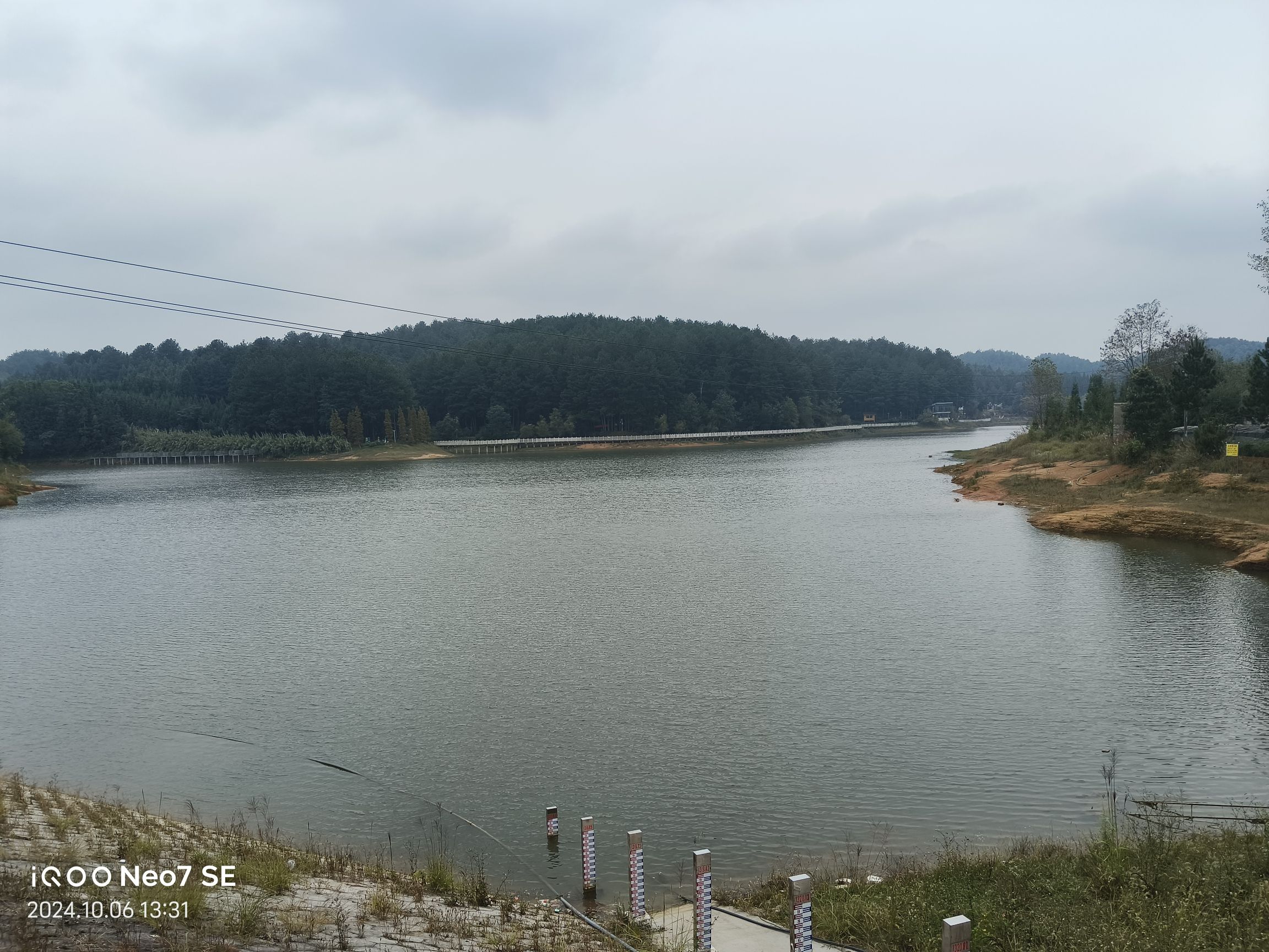 九龙山森林康养旅游度假区-九龙山森林公园旅行图片 3