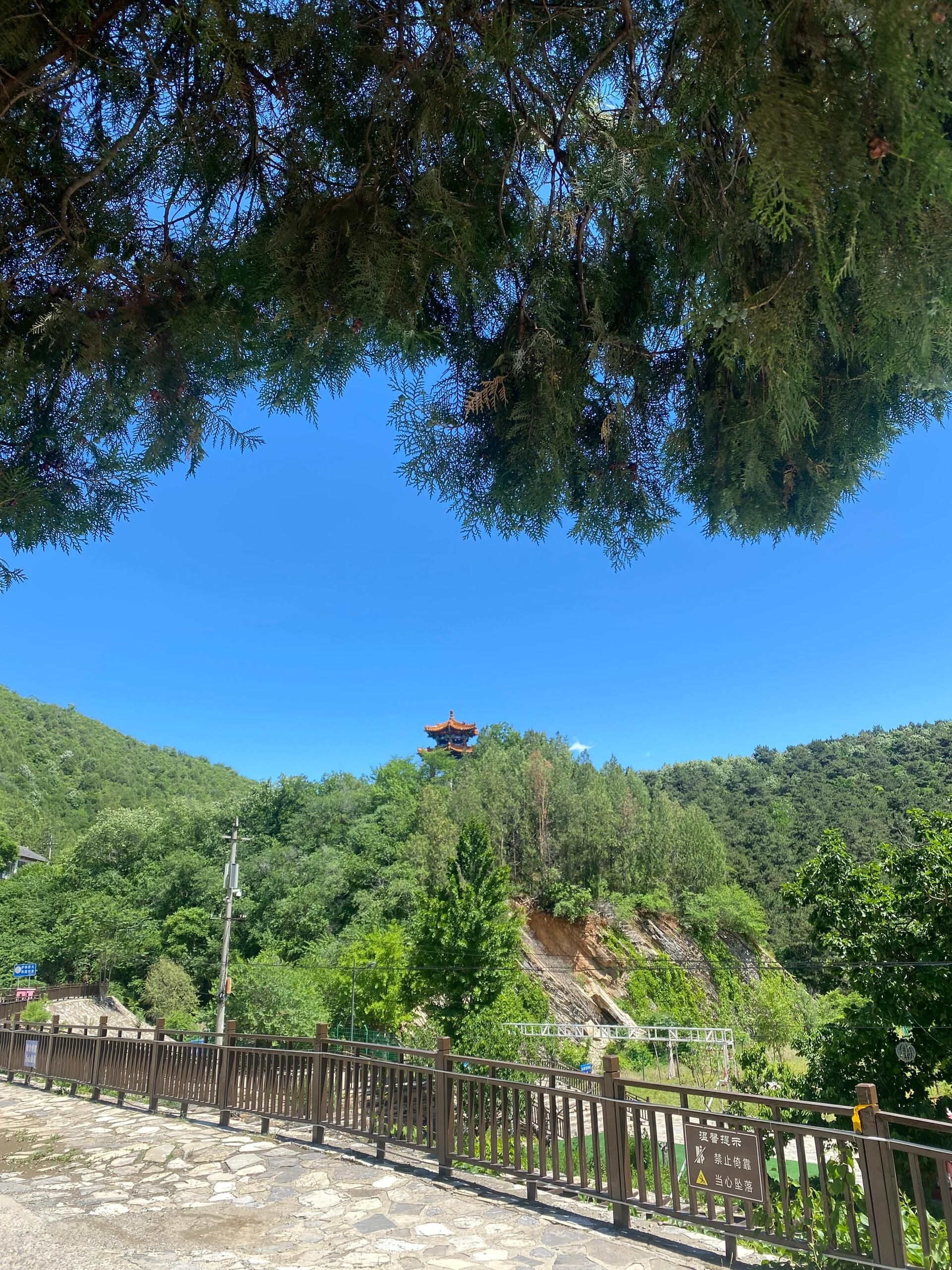 九龙山森林康养旅游度假区-九龙山森林公园旅行图片 1