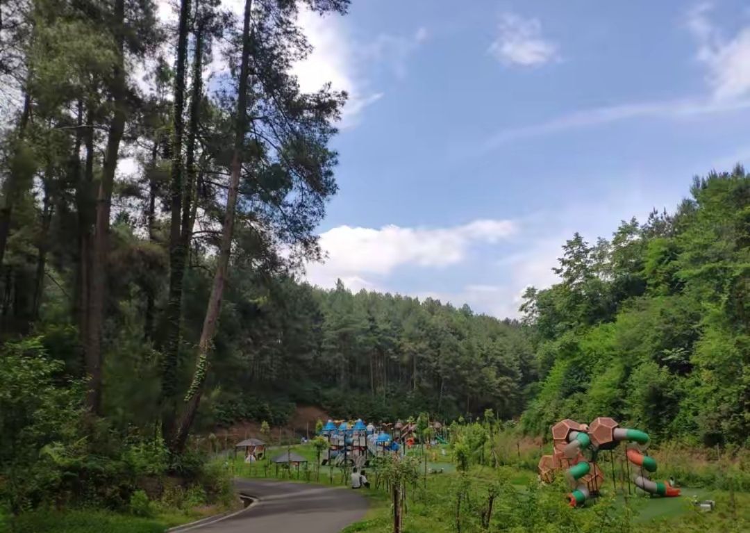 九龙山森林康养旅游度假区-九龙山森林公园旅行图片 2