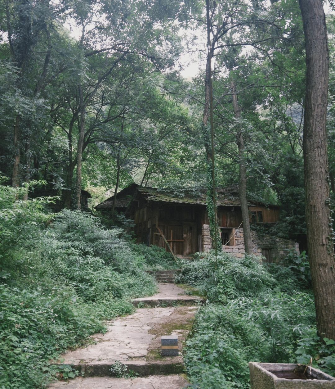 云峰屯堡风景名胜区旅行图片 2