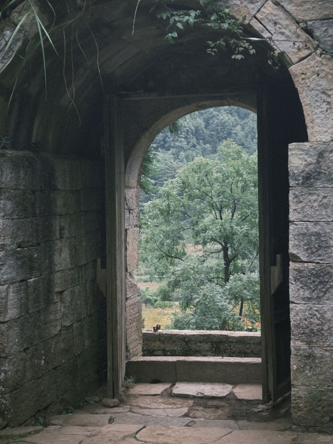 云峰屯堡风景名胜区旅行图片 3
