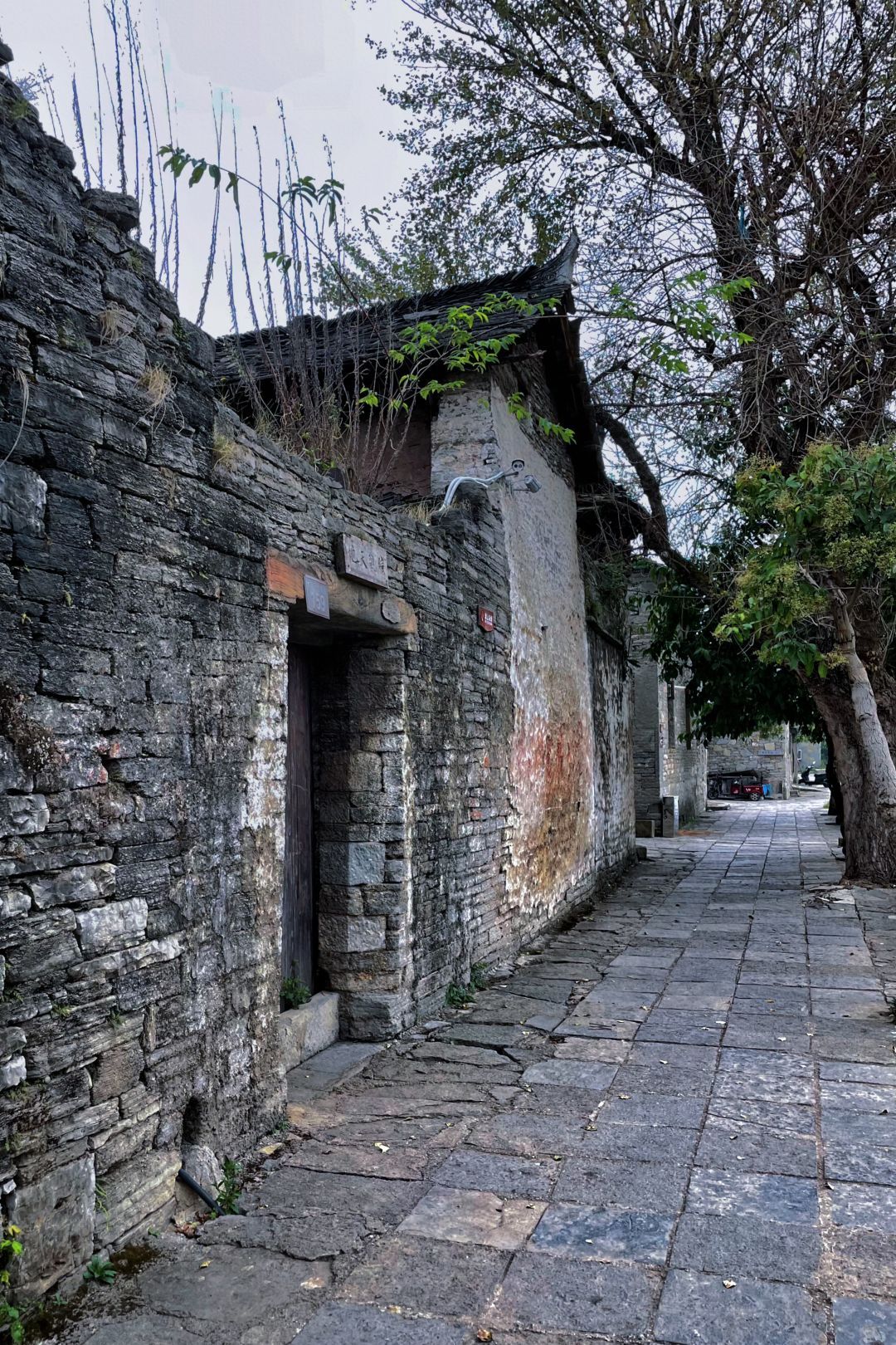 本寨旅行图片 1