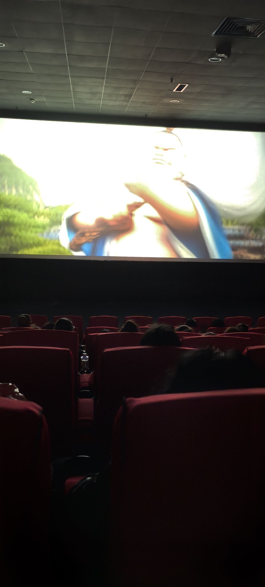 安顺文化中心电影院(电力城店)