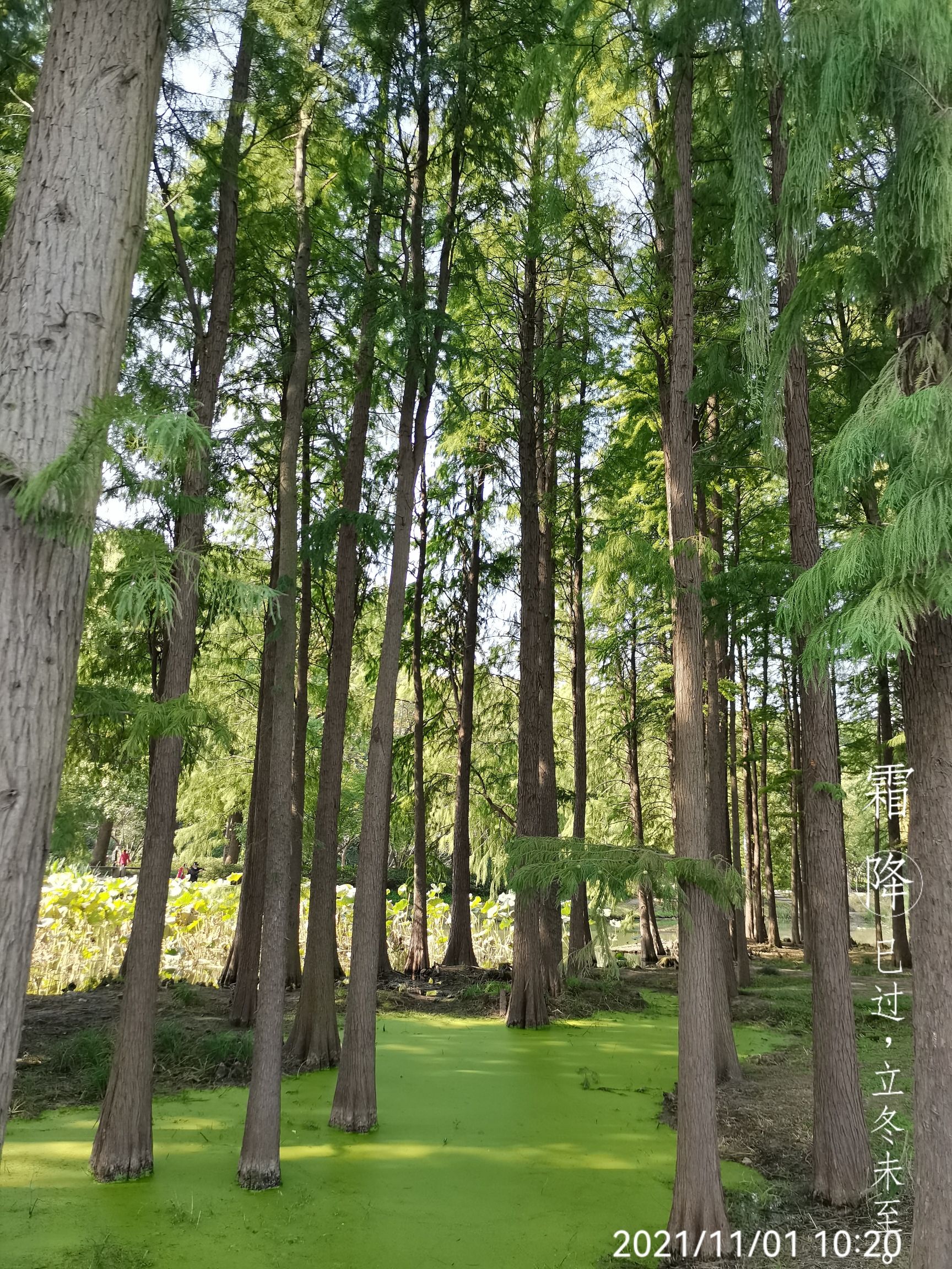贵州龙架山国家森林公园-接待厅