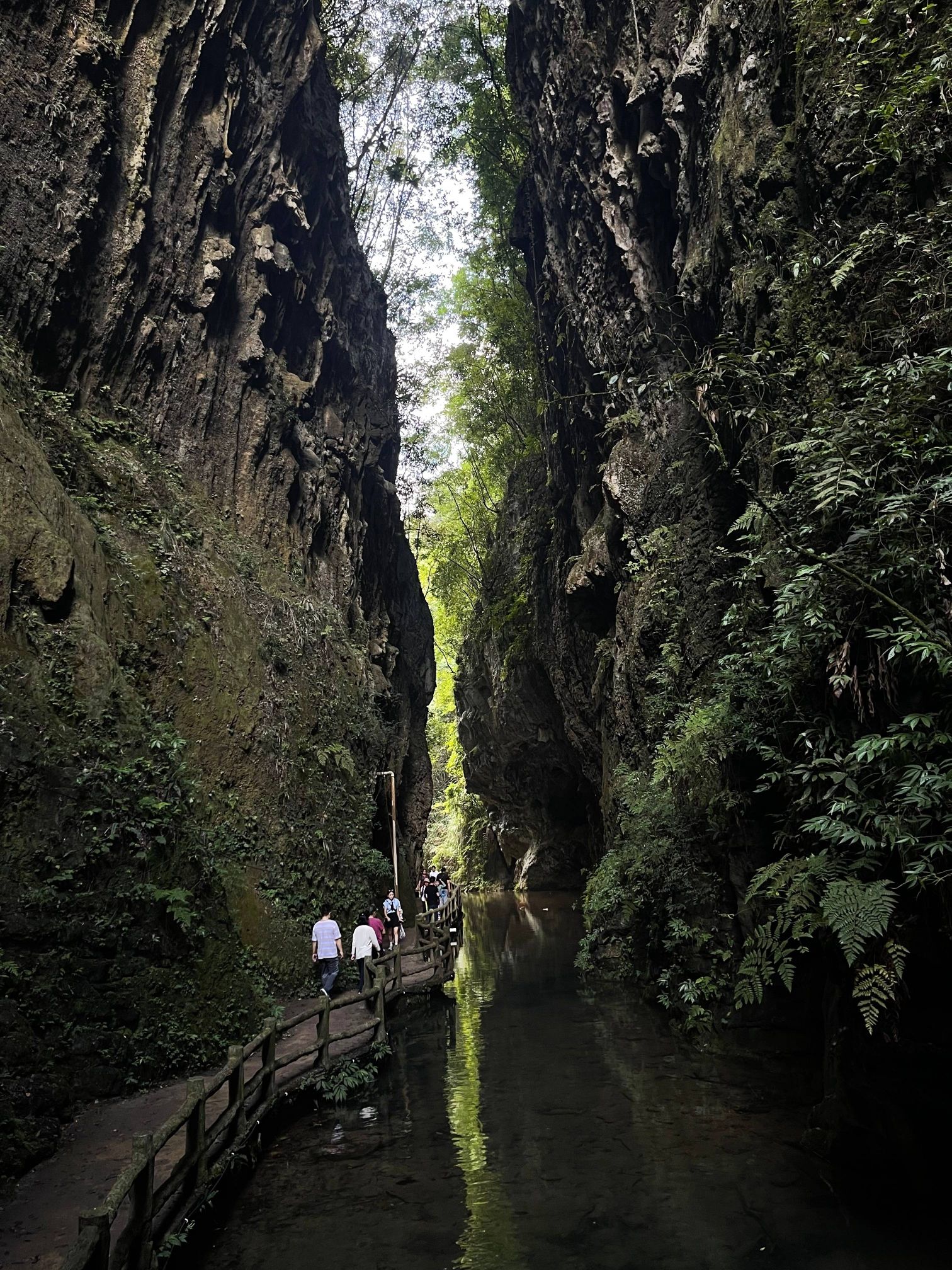 巴喇谷风景区旅行图片 3