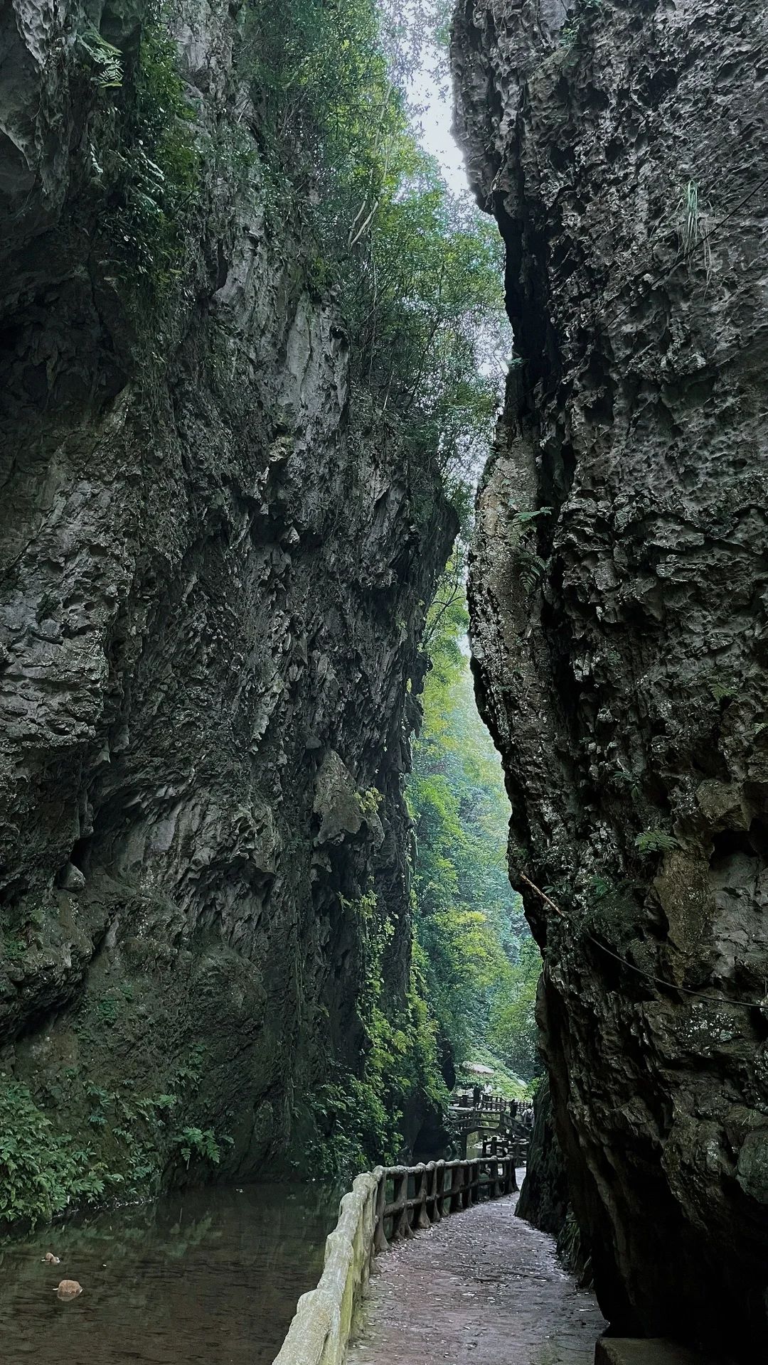 巴喇谷风景区旅行图片 3