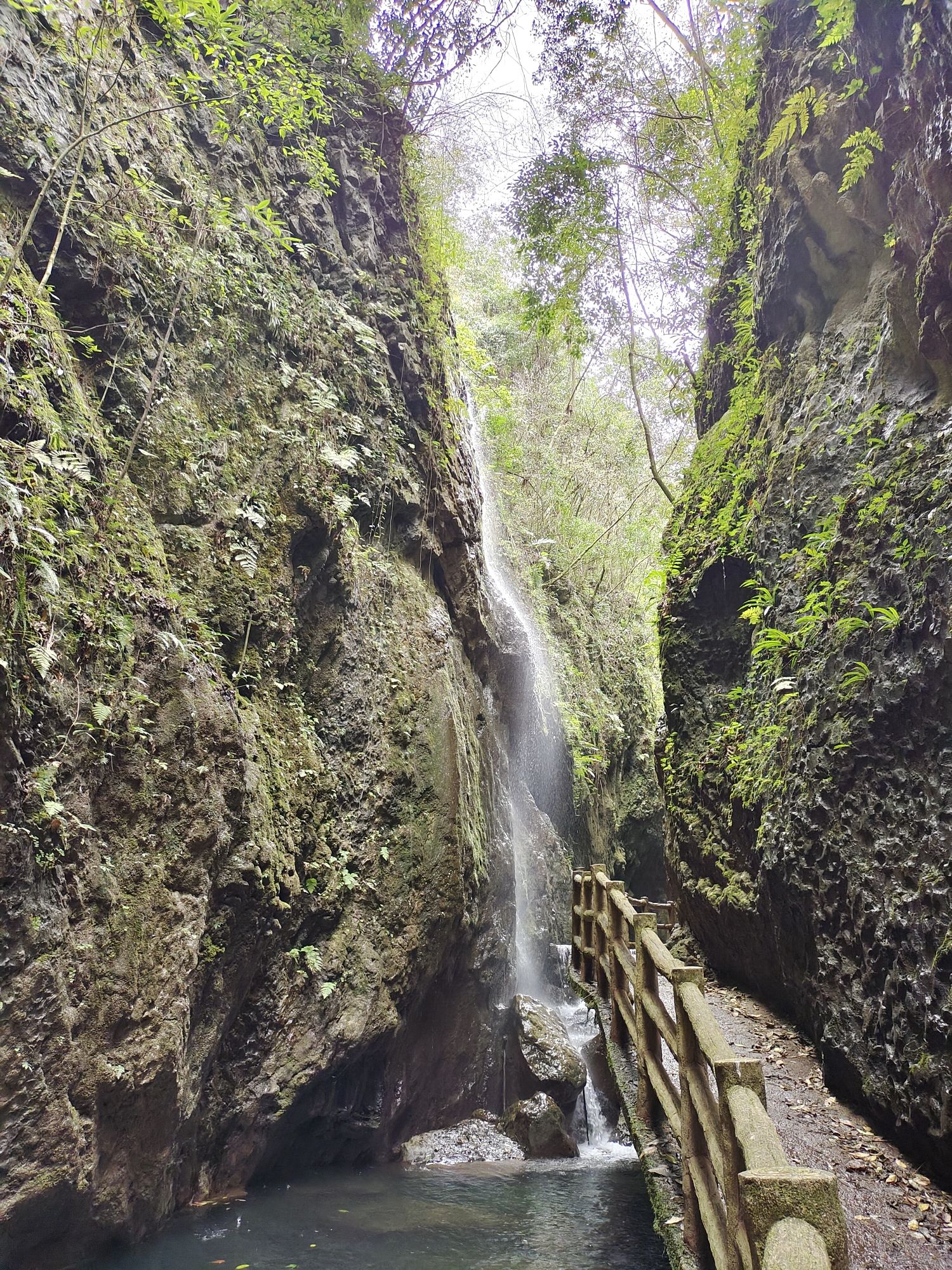 巴喇谷风景区旅行图片 1
