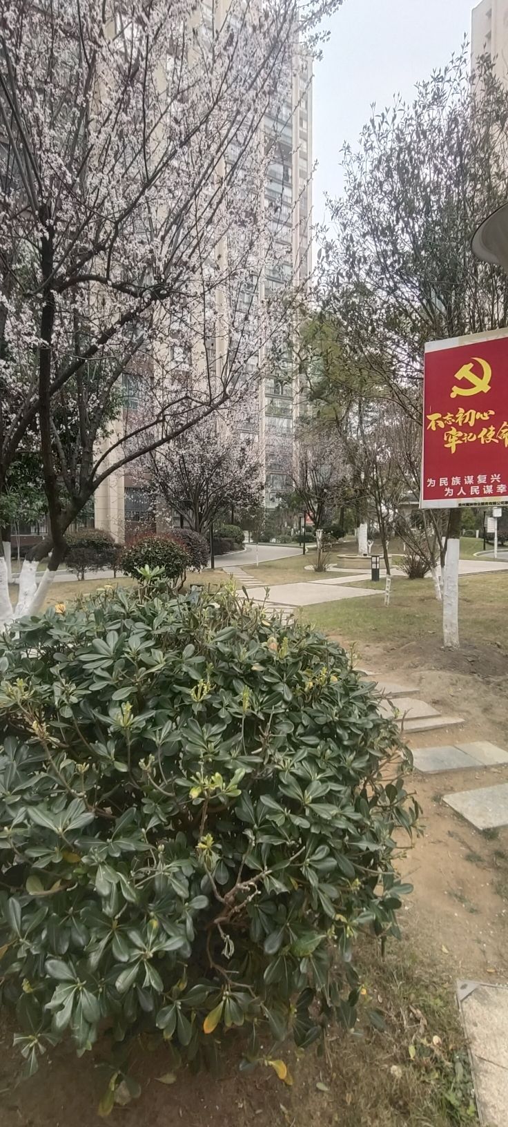 朝顺公园