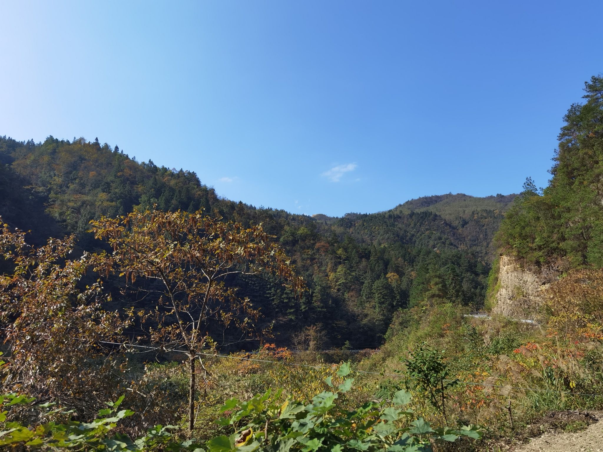 大塘湾景区