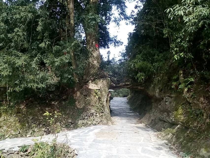 登岑侗寨