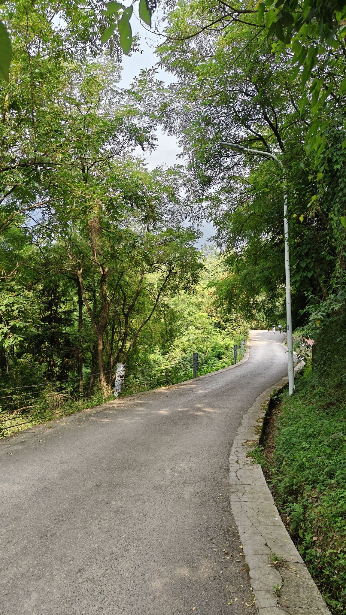阳山森林公园