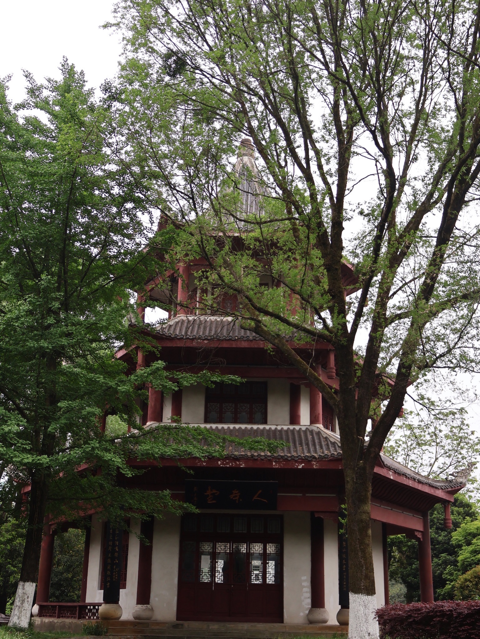 麒麟公园旅行图片 1